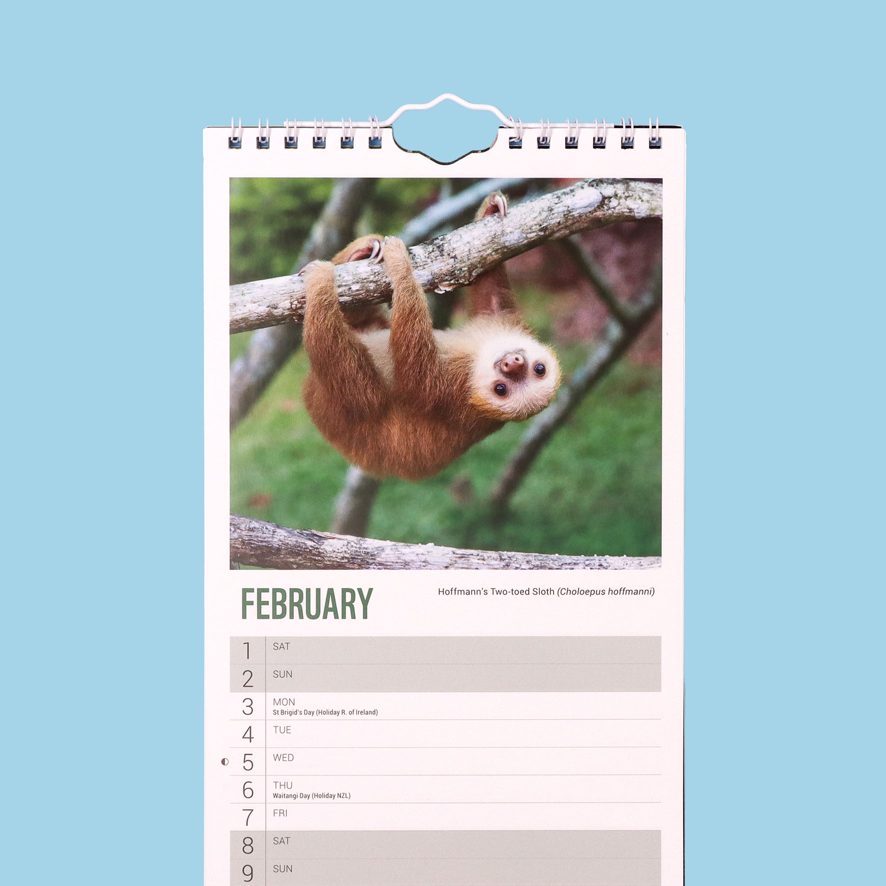 Baby Animals Slim Calendar 2025