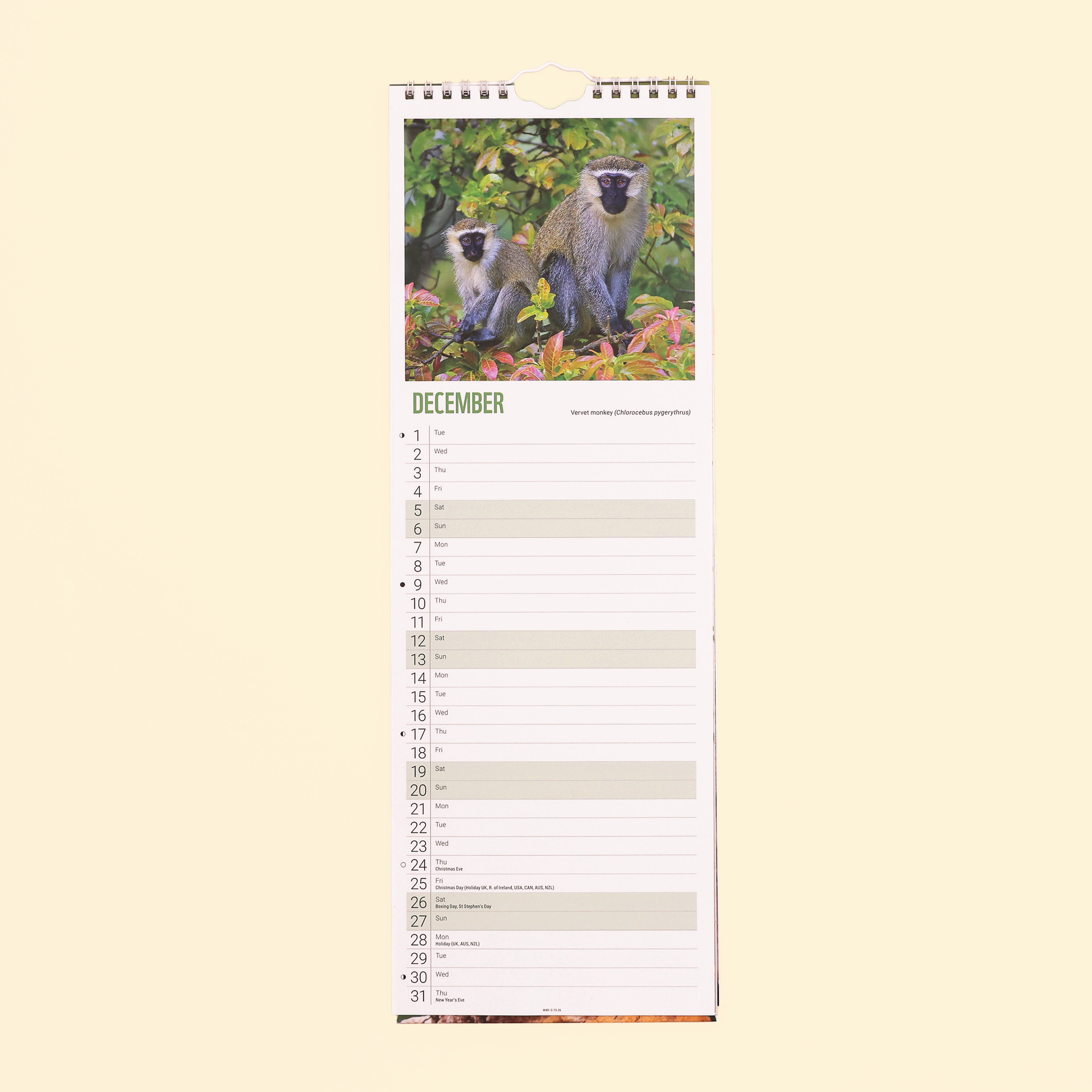 Baby Animals Slim Calendar 2026