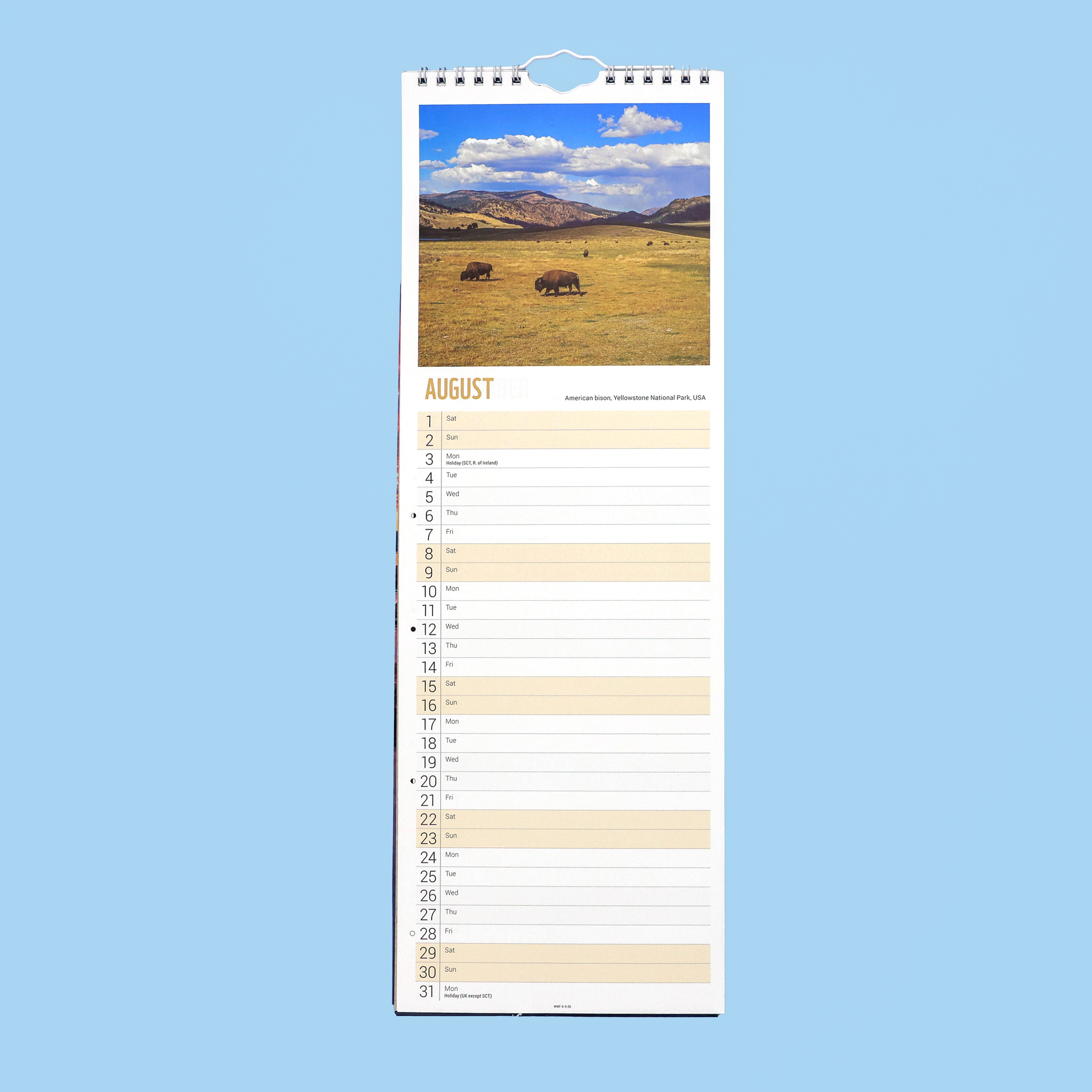 Beautiful World Slim Calendar 2026