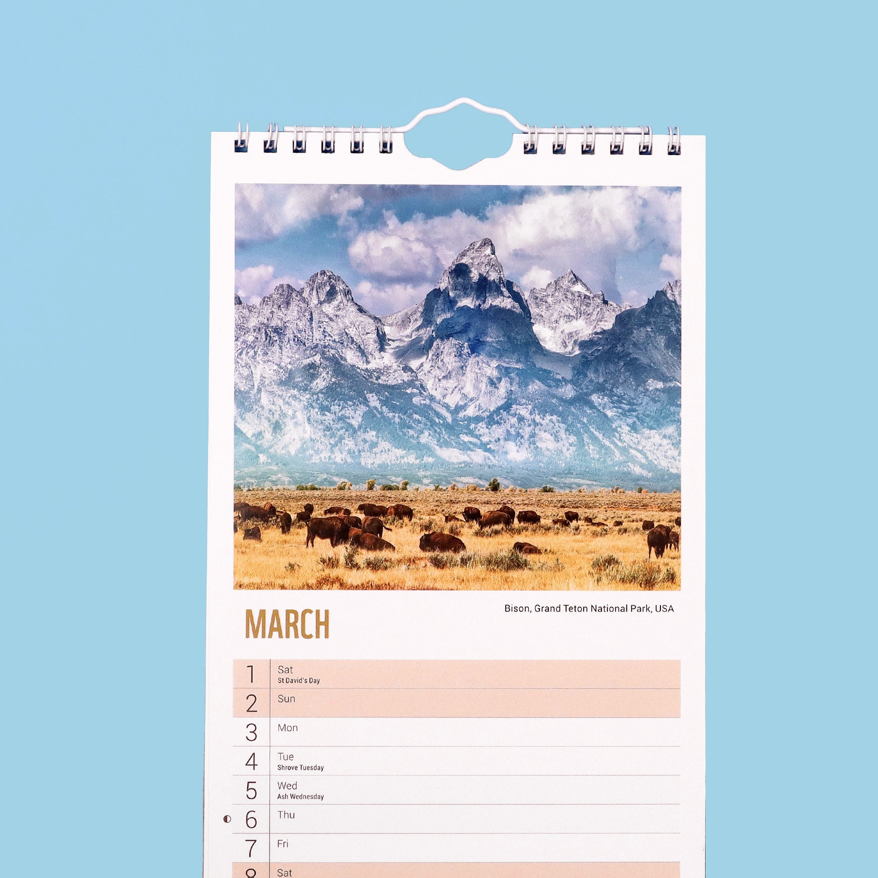 Beautiful World Slim Calendar 2025