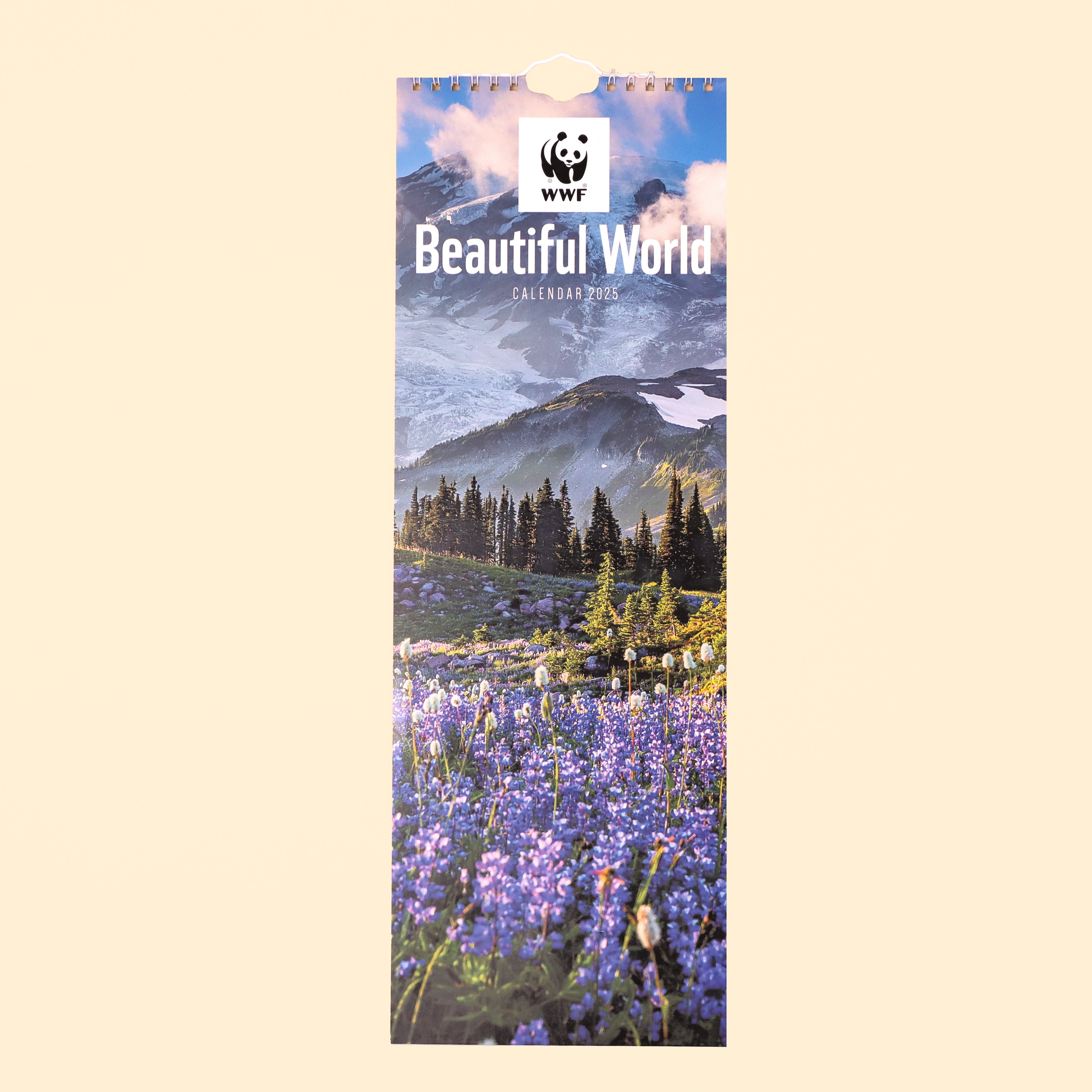 Beautiful World Slim Calendar 2025