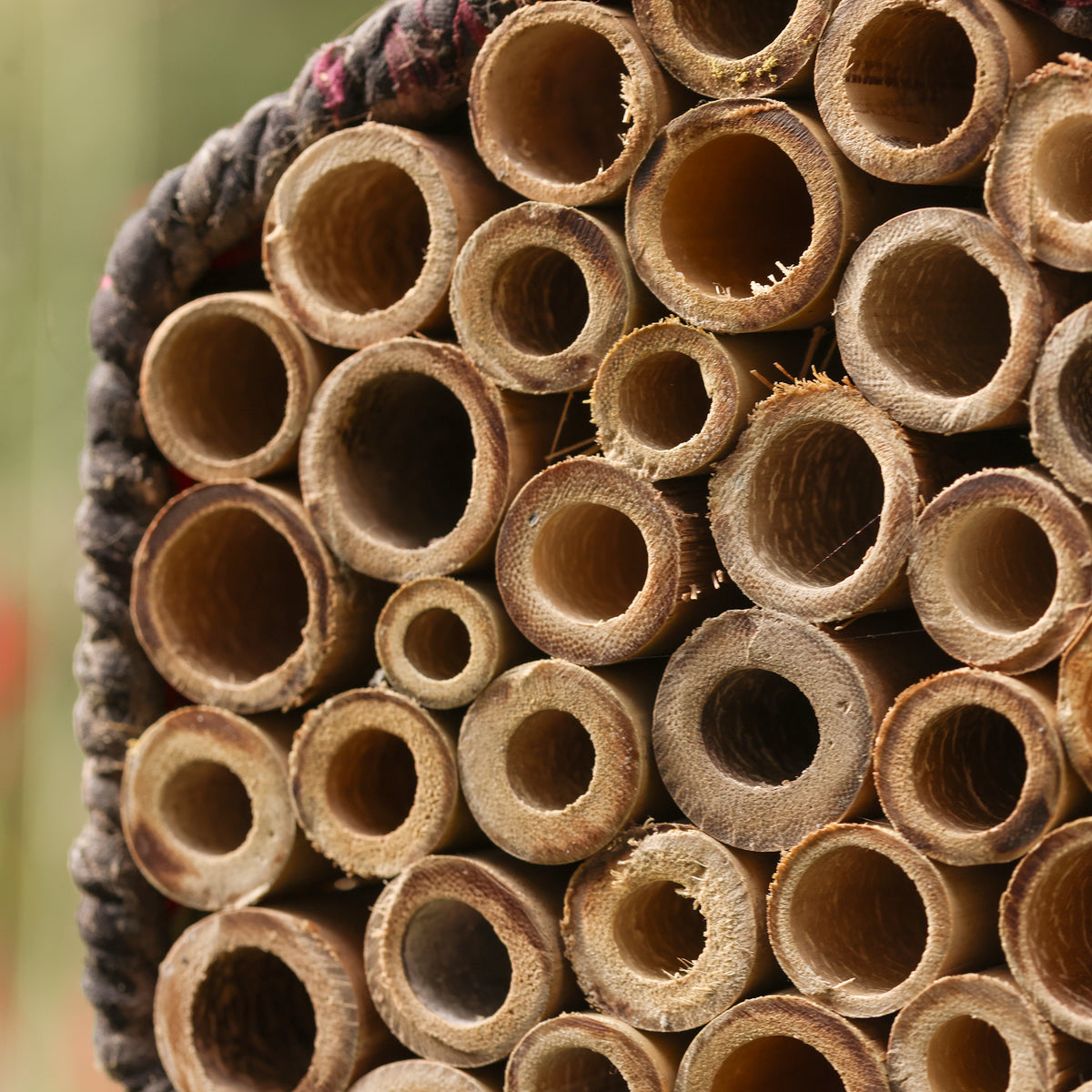 Munja & Reclaimed Sari Fabric Bee House