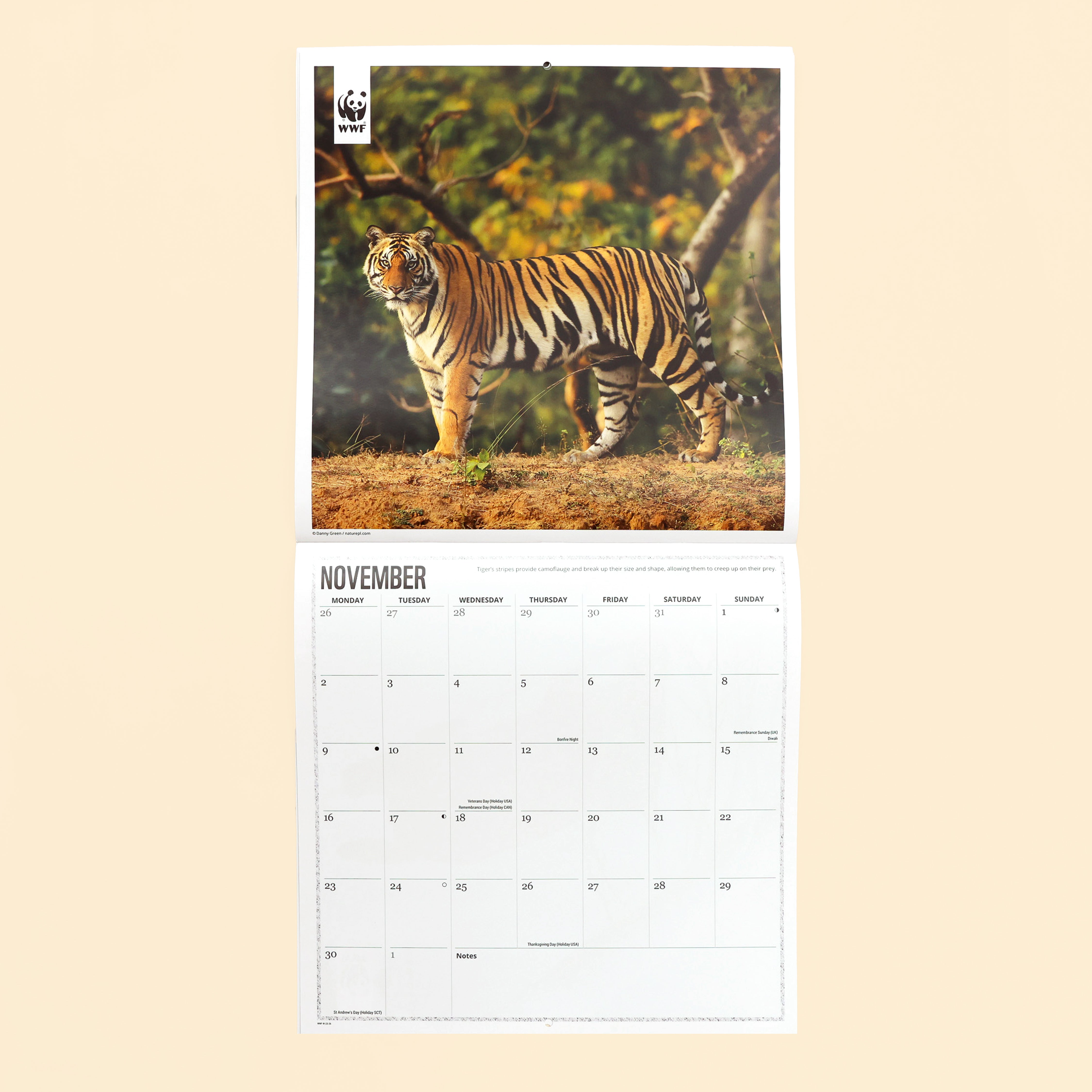 Big Cats Wall Calendar 2026