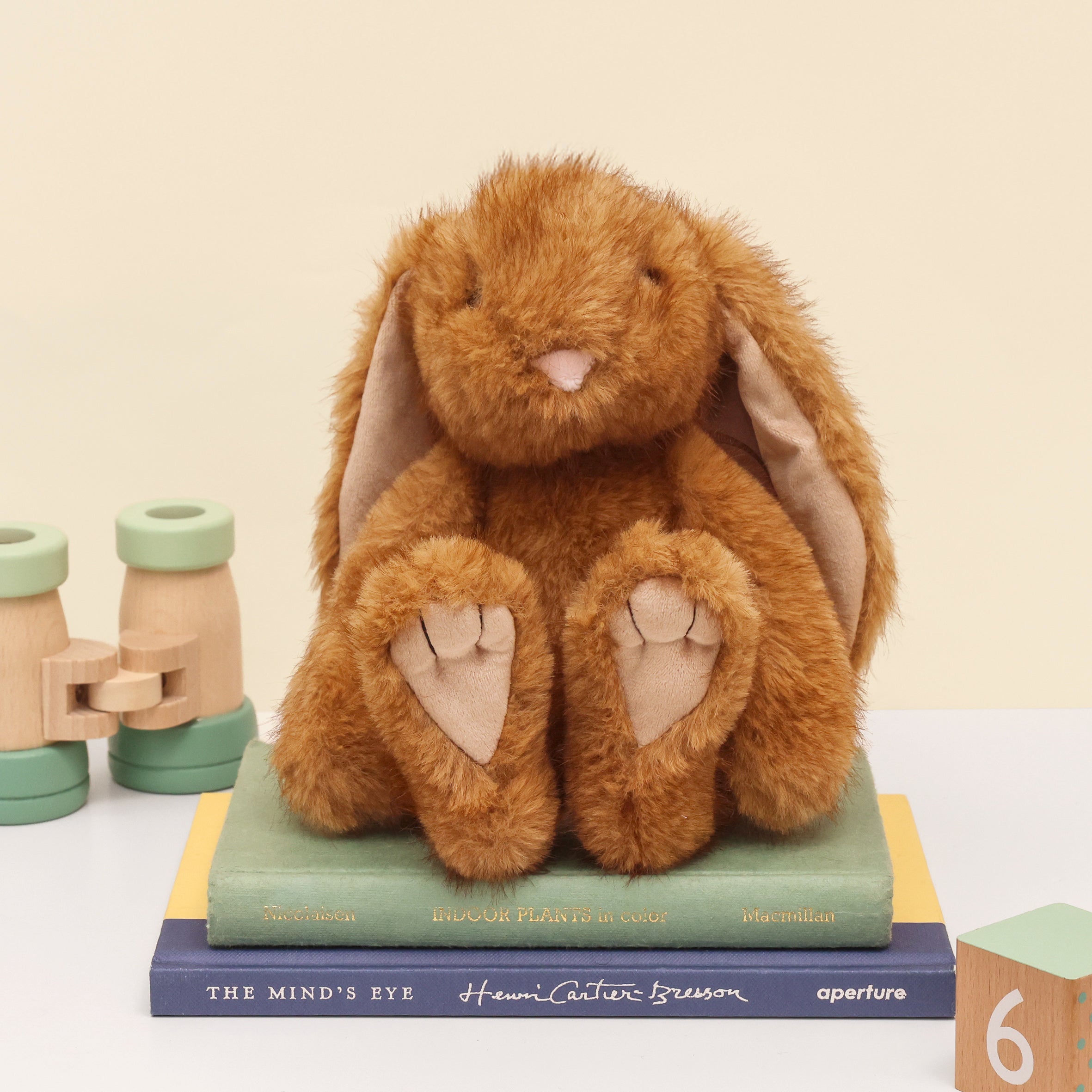Enchanted world super fluffy brown bunny in brown with long ears and big feet. Sitting on books with wooden blocks and binoculars on white surface and cream background