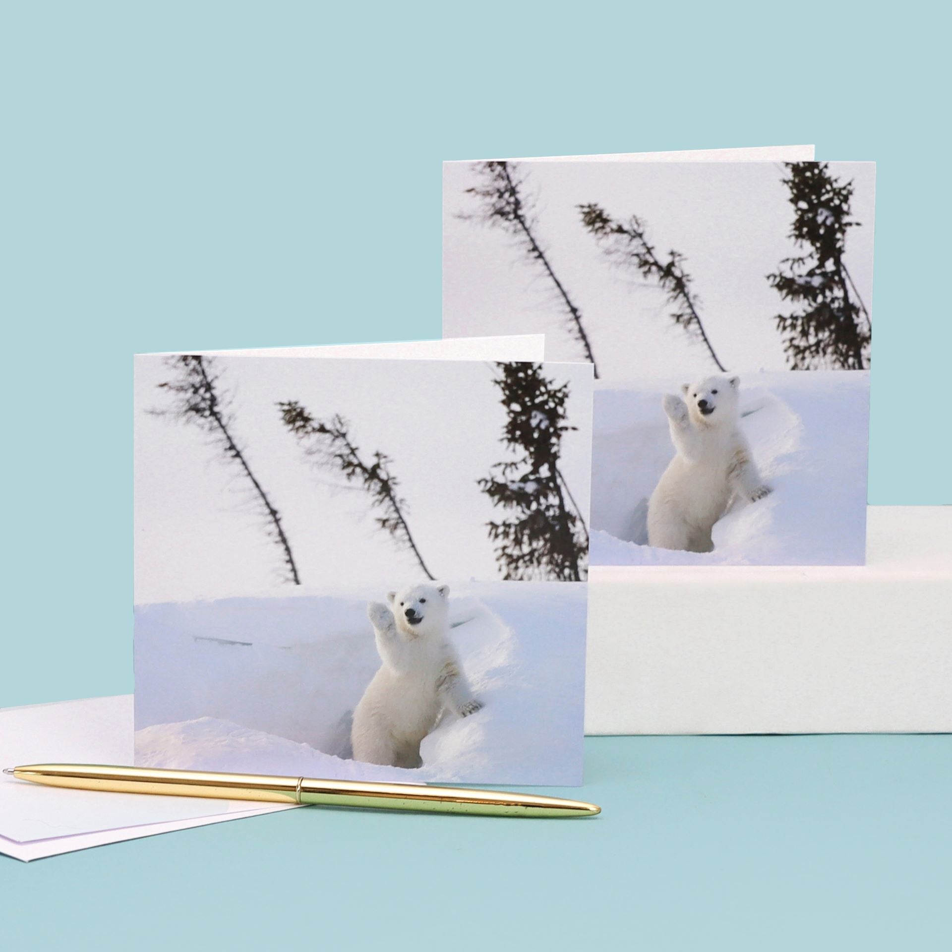 Season's Greetings Cards (Pack of 8)