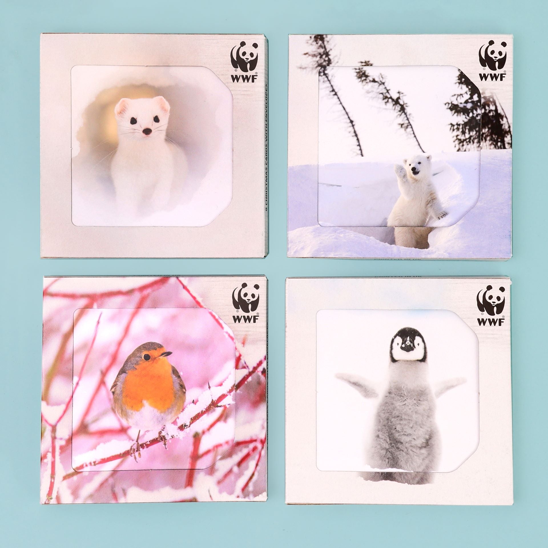 Snowy Stoat Cards (Pack of 8)