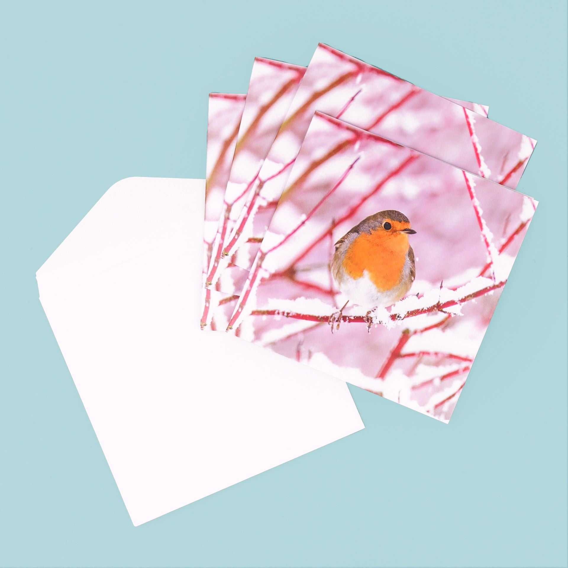 Bobbin' Robin Cards (Pack of 8)