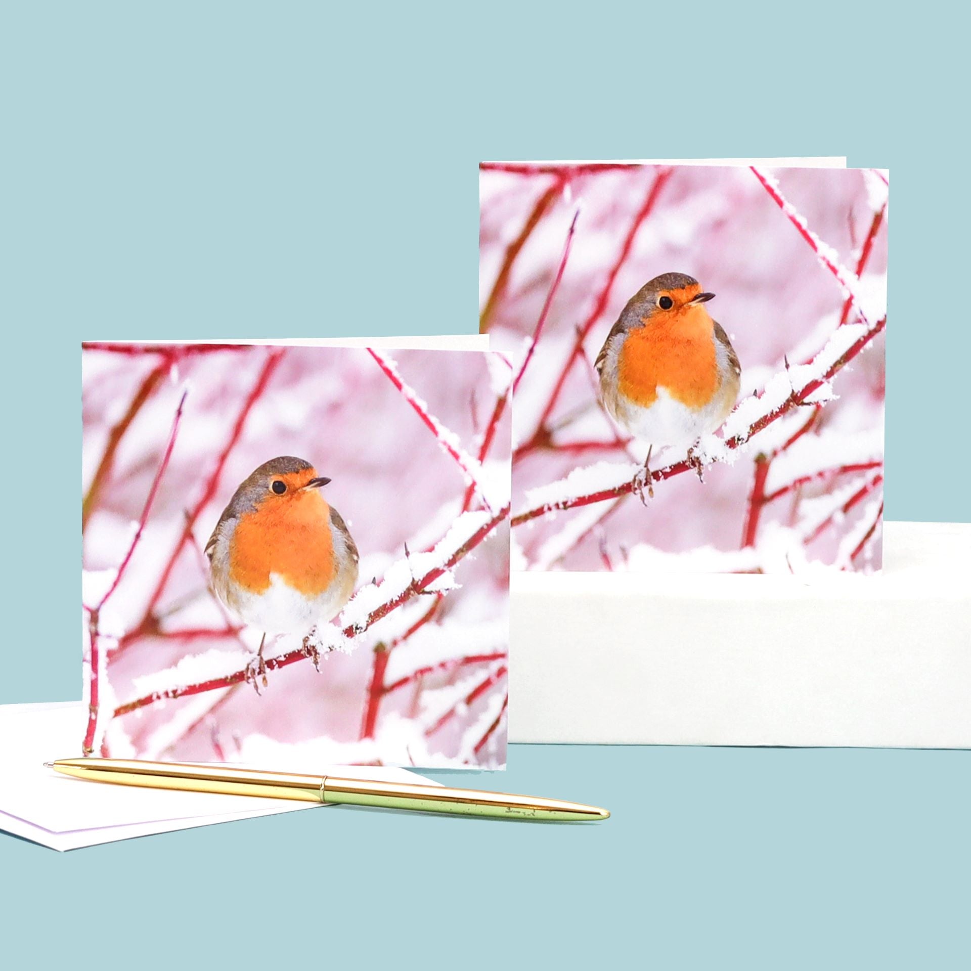 Bobbin' Robin Cards (Pack of 8)