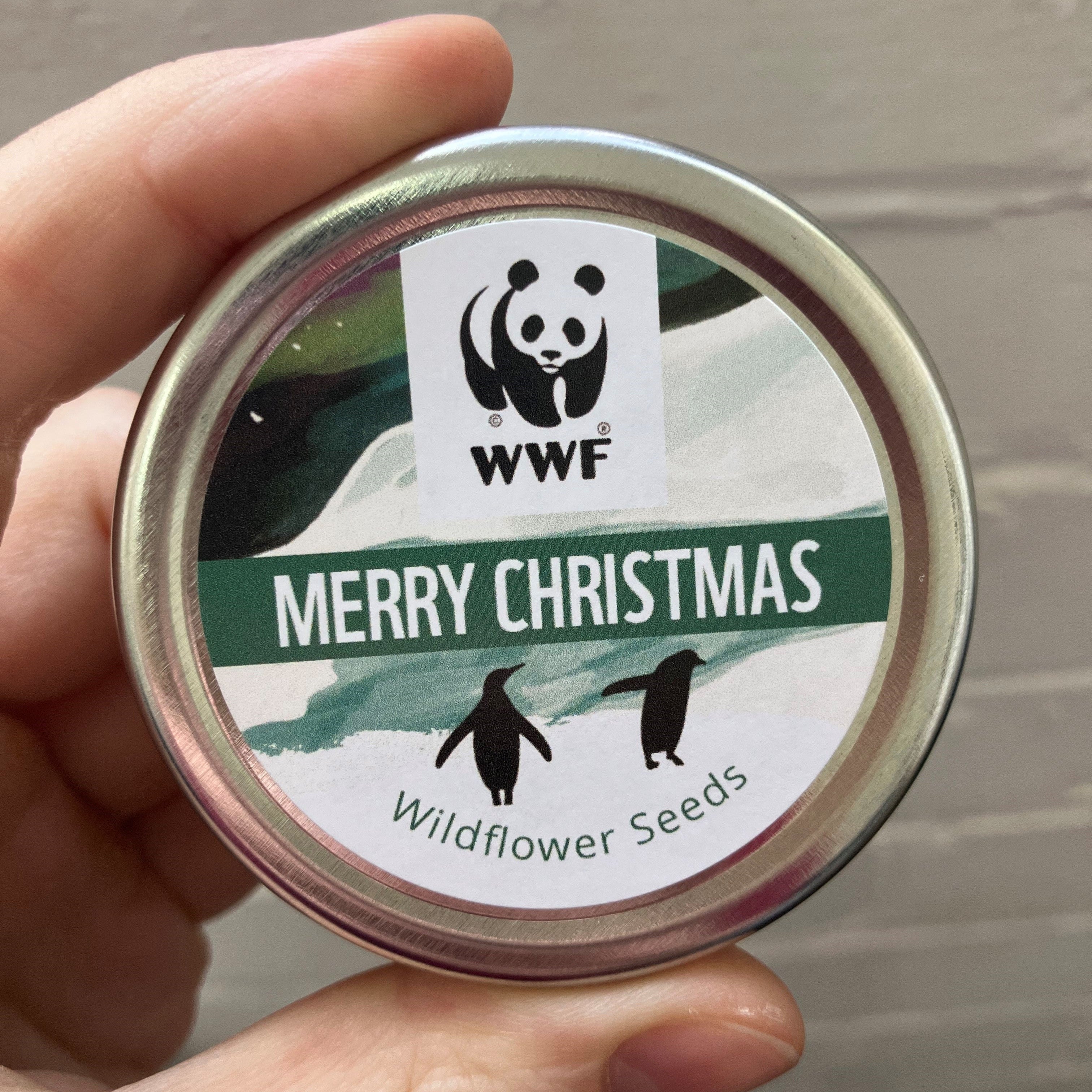 Limited Edition Christmas Seedball Wildflower Tin