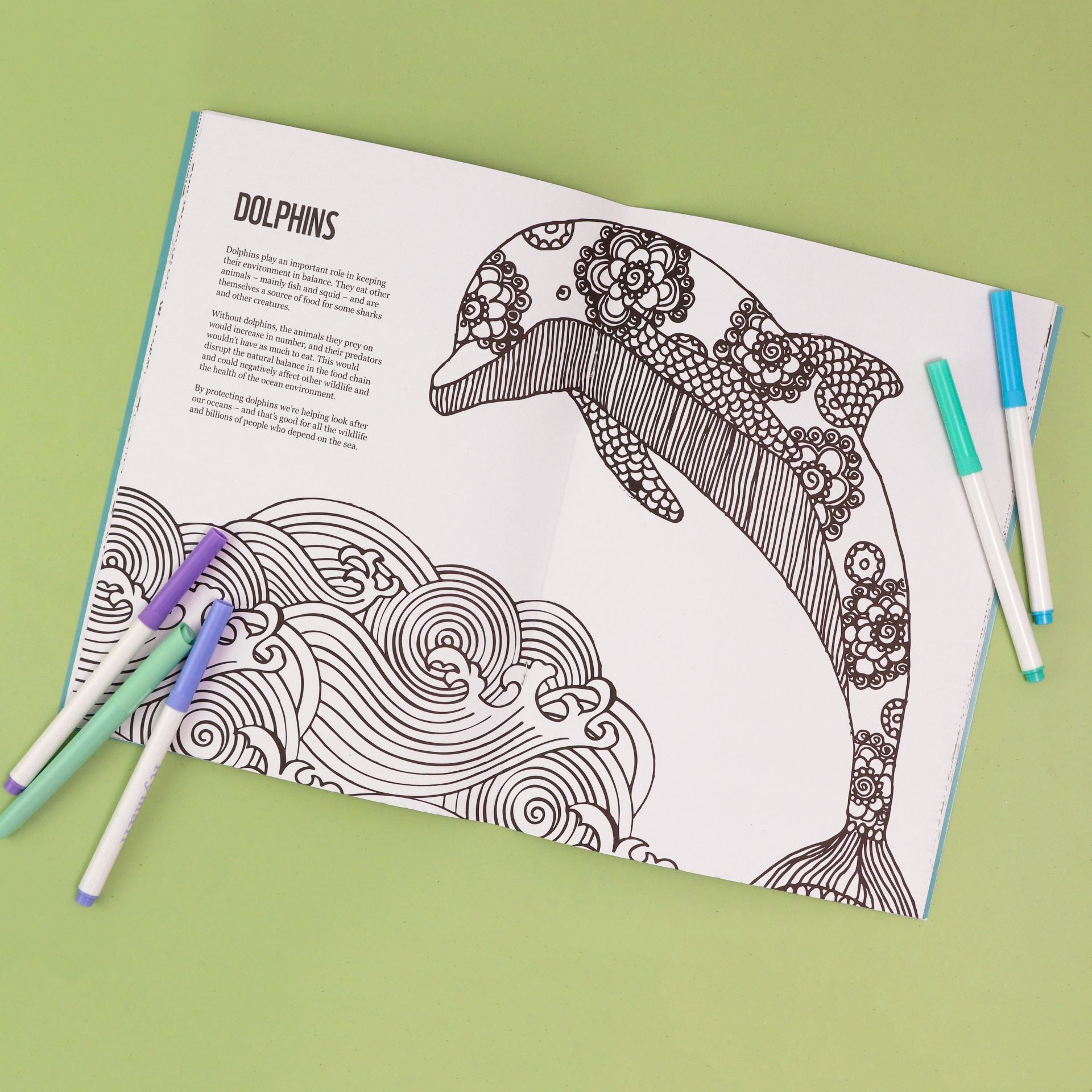 Panda Colouring Book