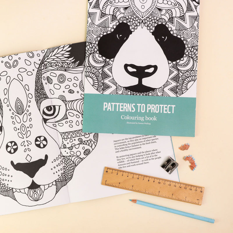 Panda Colouring Book