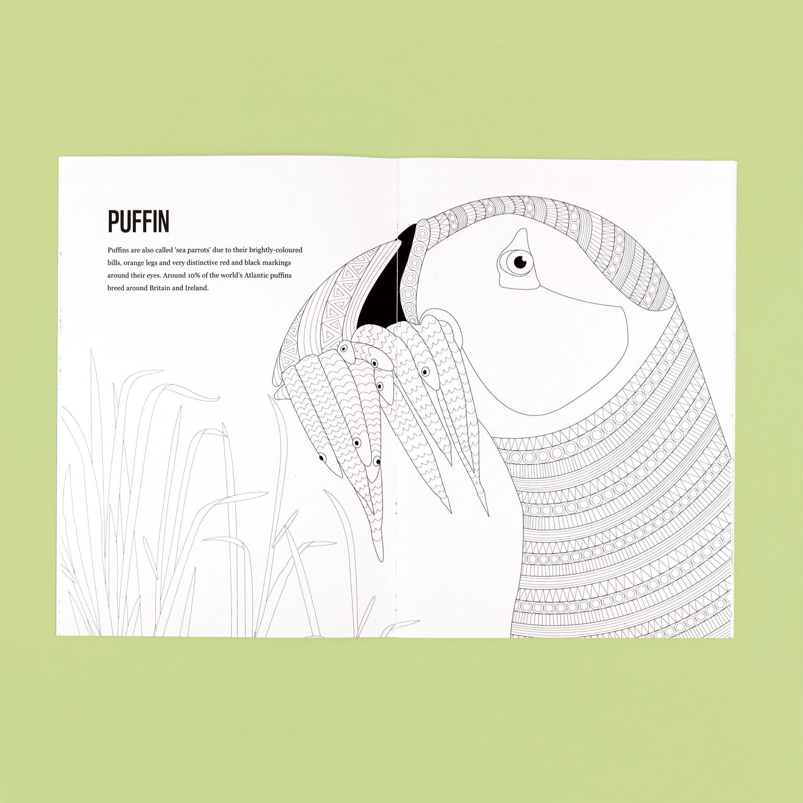 Patterns to Protect Colouring Book - UK Edition