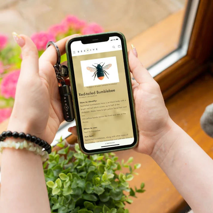 WWF X Beevive Bee Revival Kit - Gold