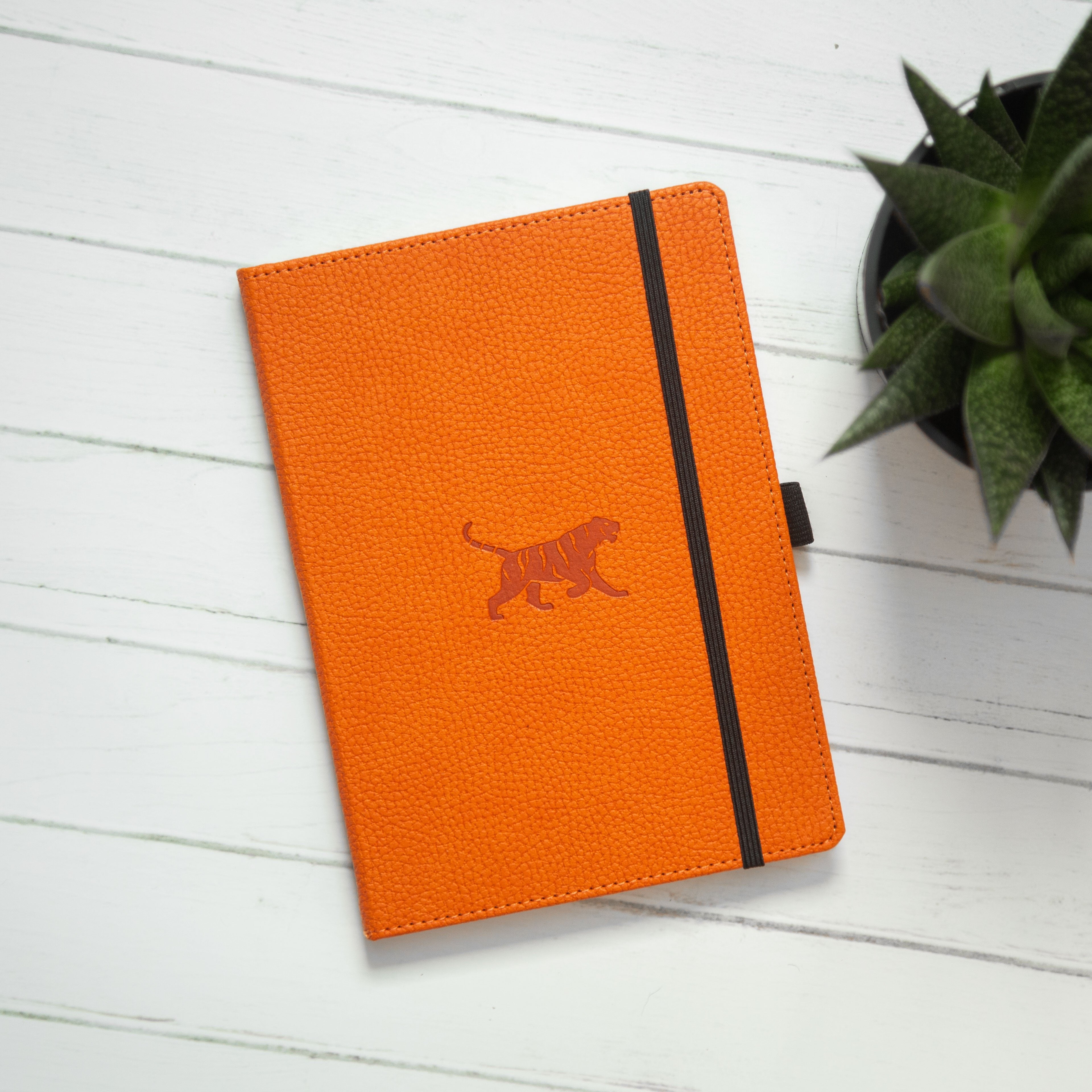 Dingbats Orange Tiger A5 Notebook