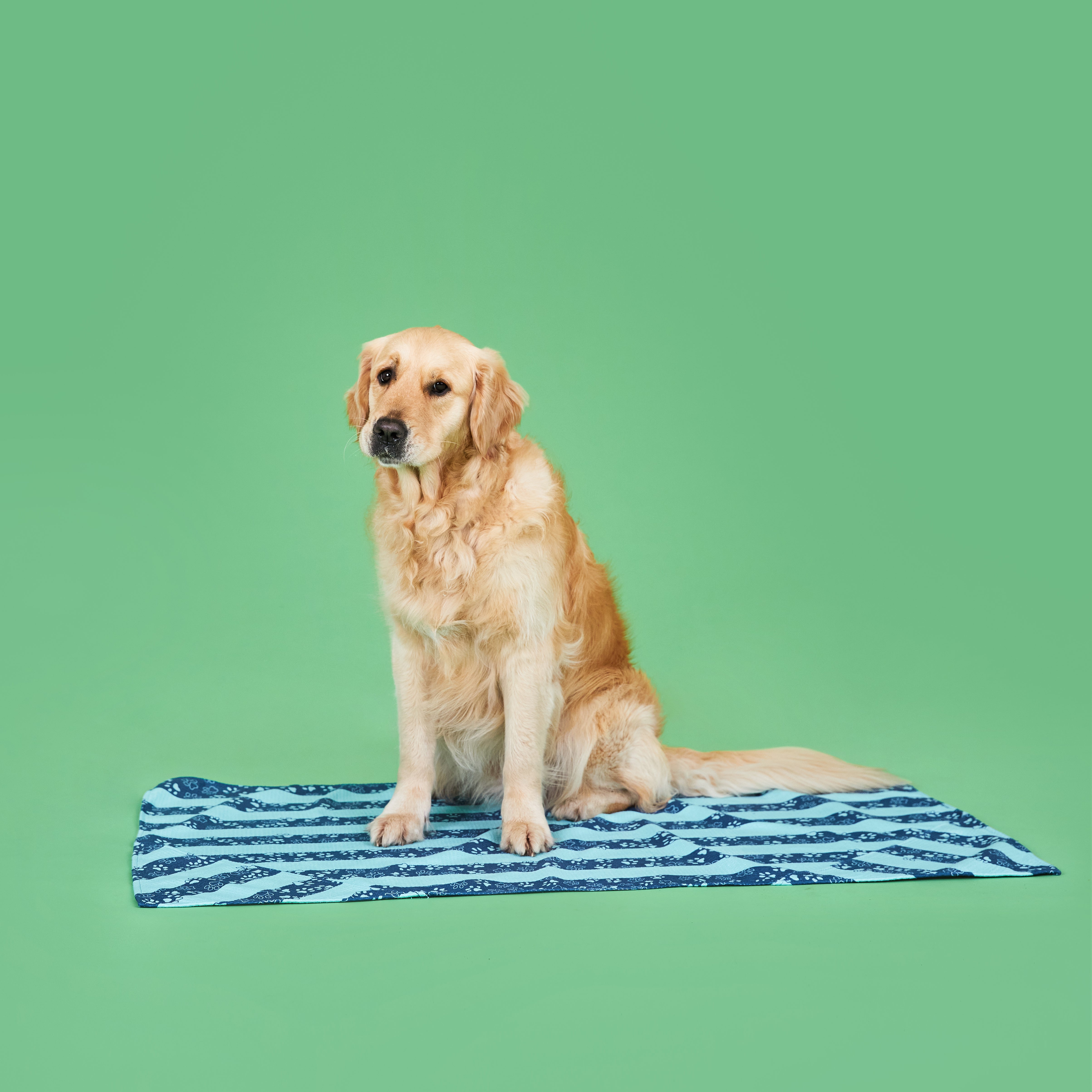 Medium Dog Towel - Bark Blue