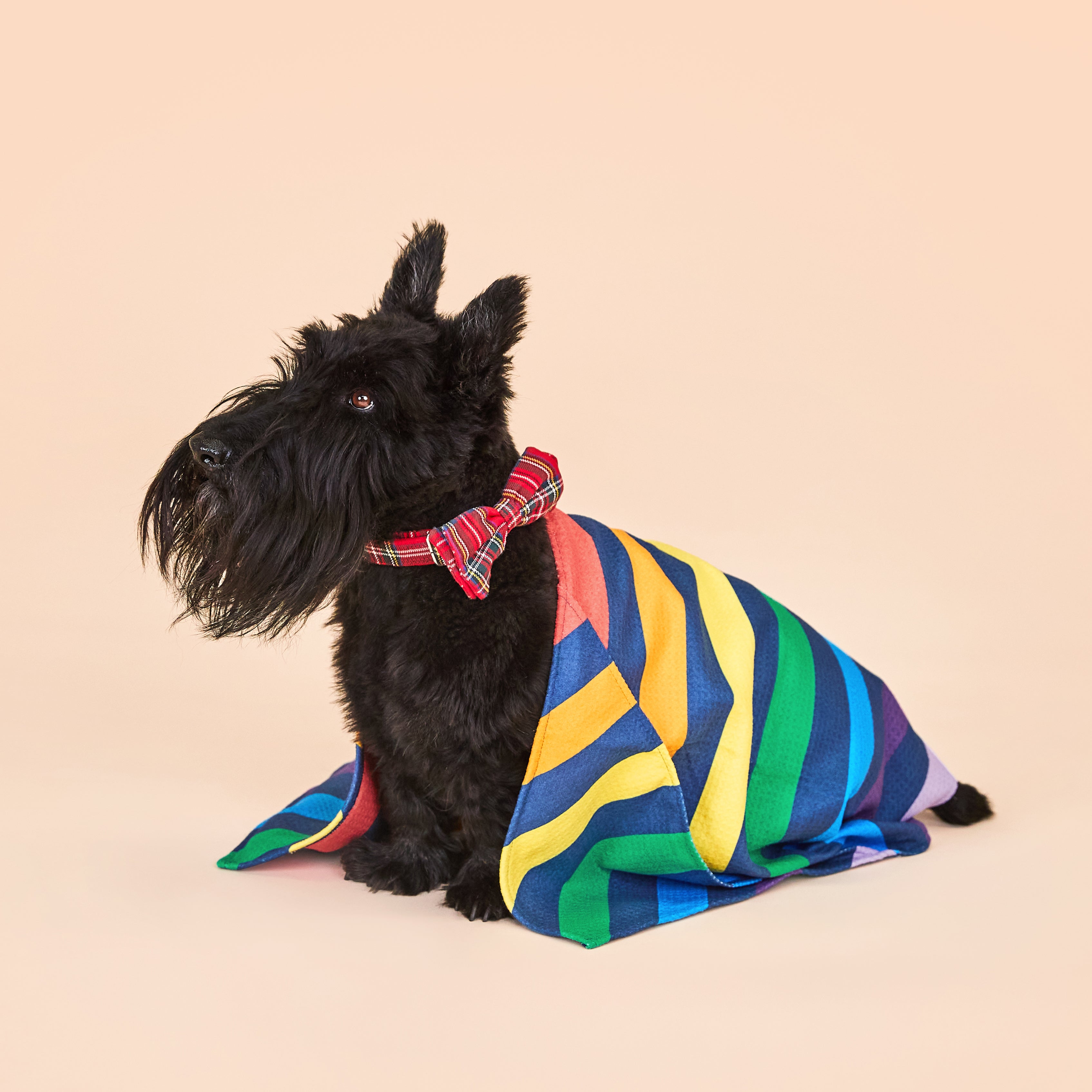 Large Dog Towel - Pups With Pride