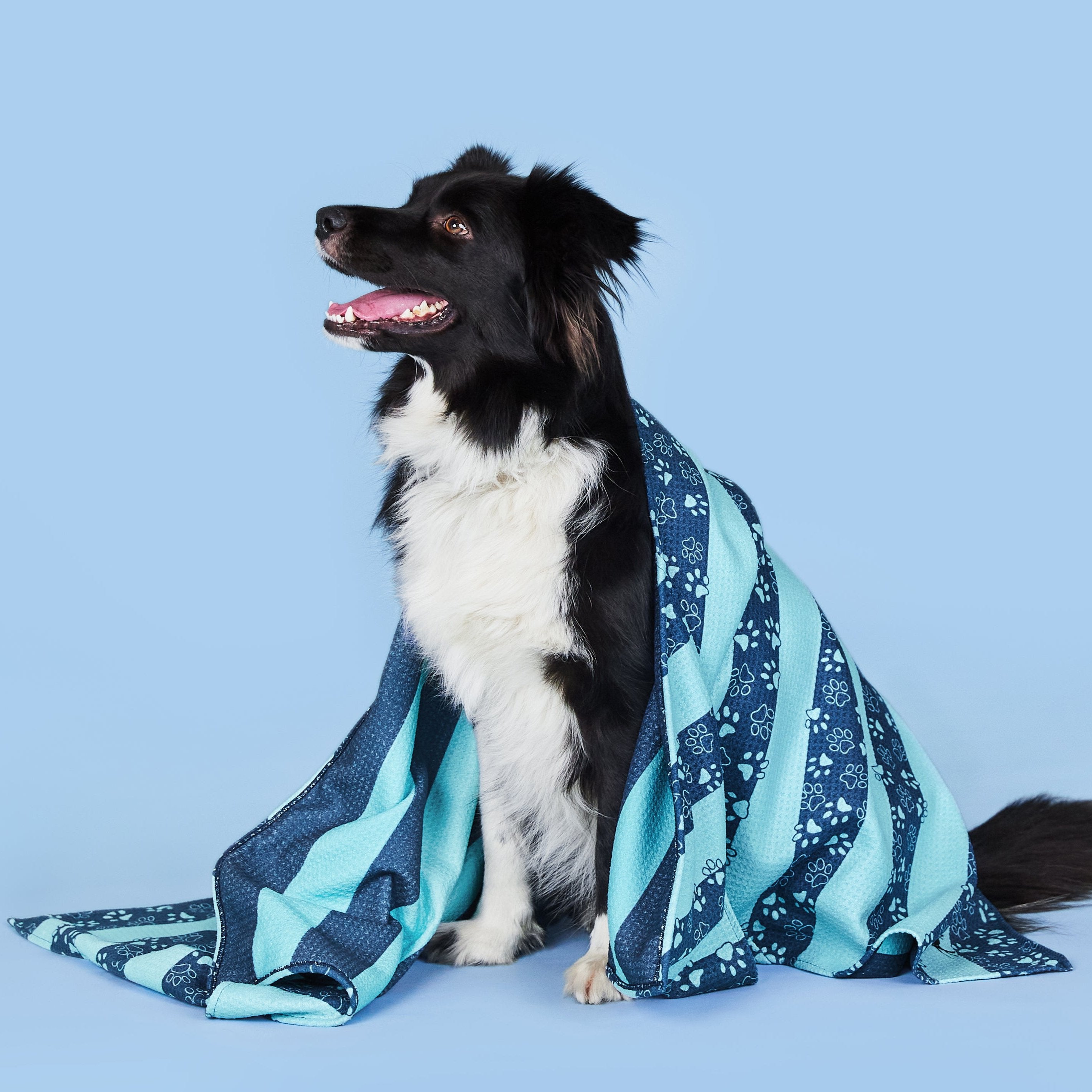 Medium Dog Towel - Bark Blue