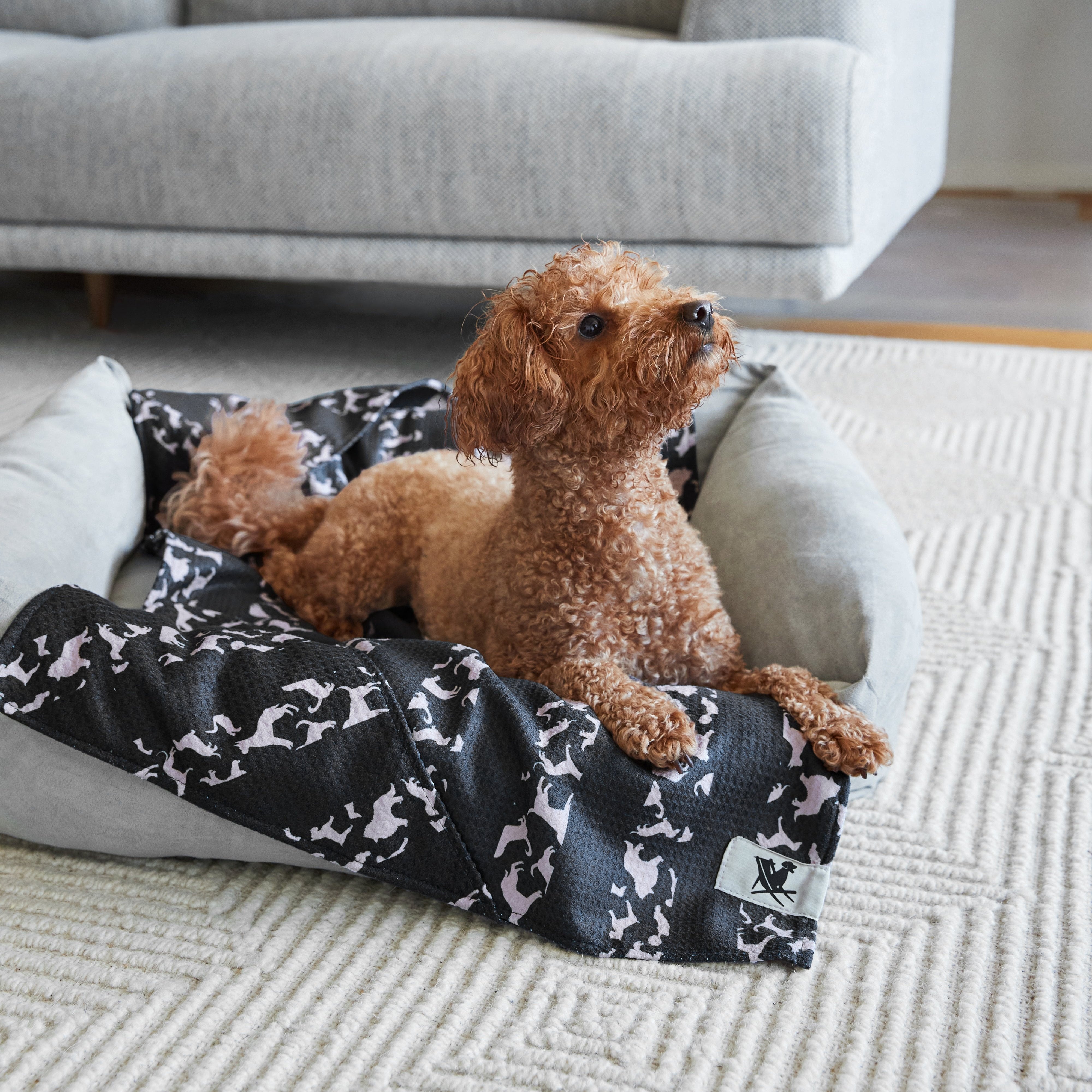 Large Dog Towel - Walkies in the Park