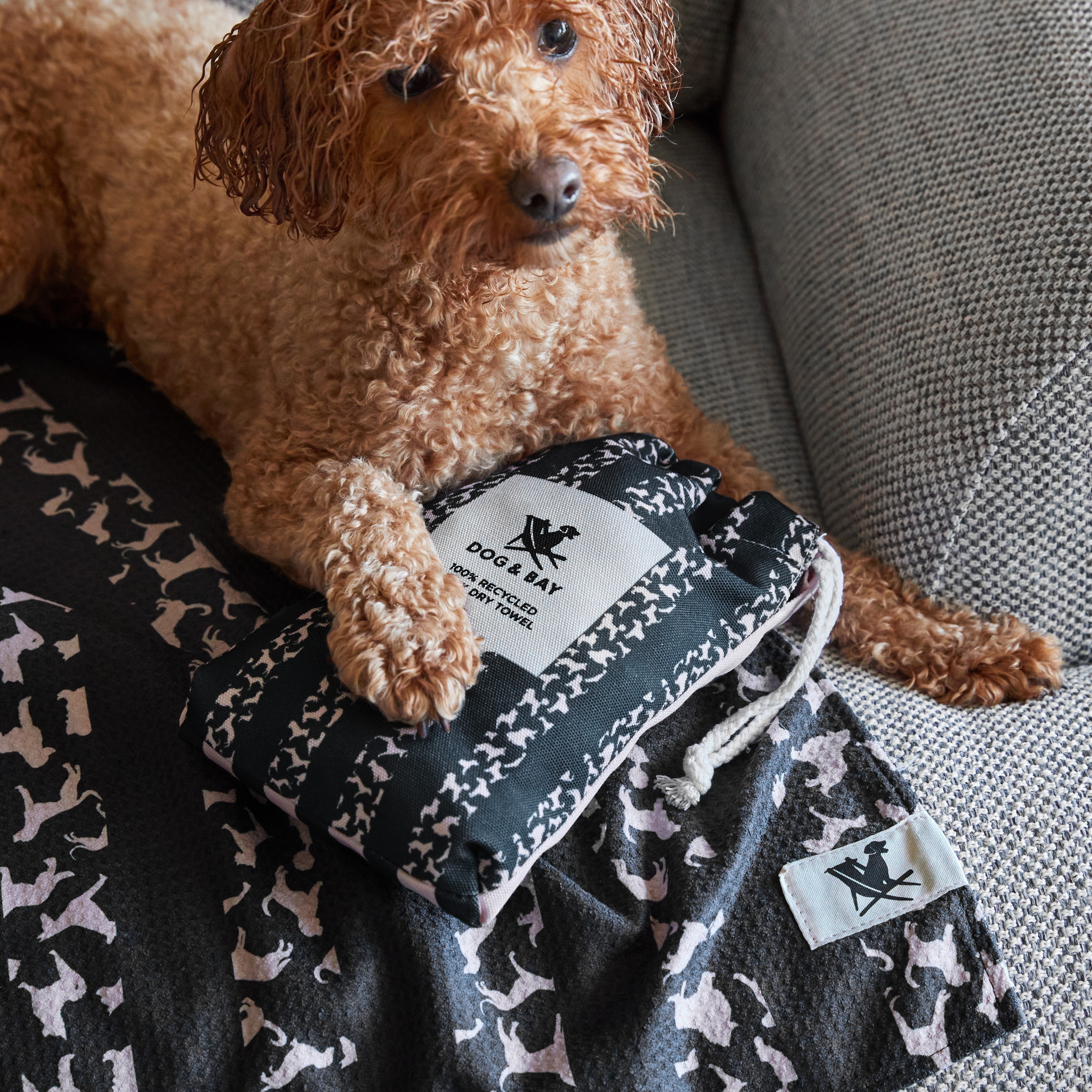 Dock & Bay Large Dog Towel - Walkies in the Park