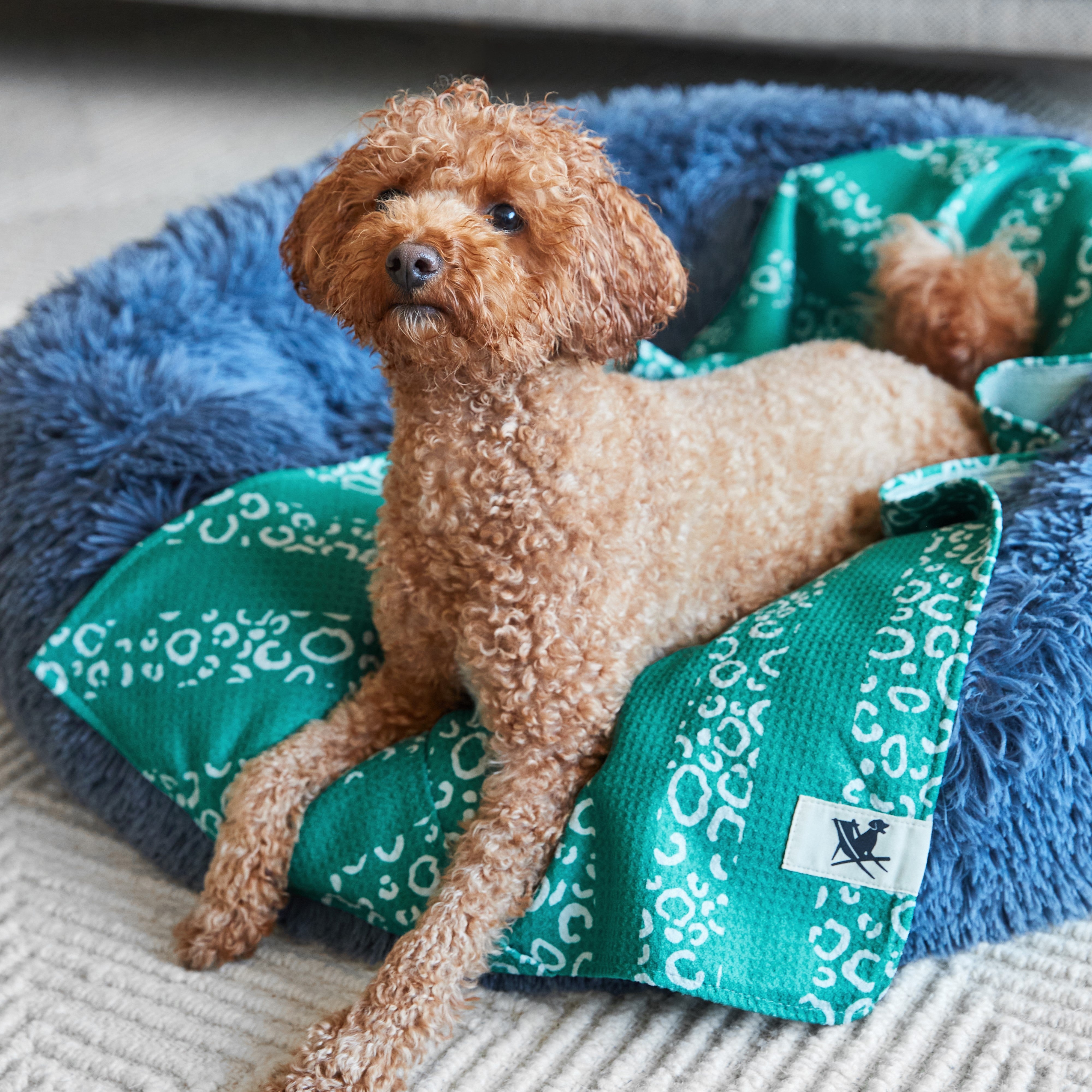 Medium Dog Towel - Woofs Go Wild