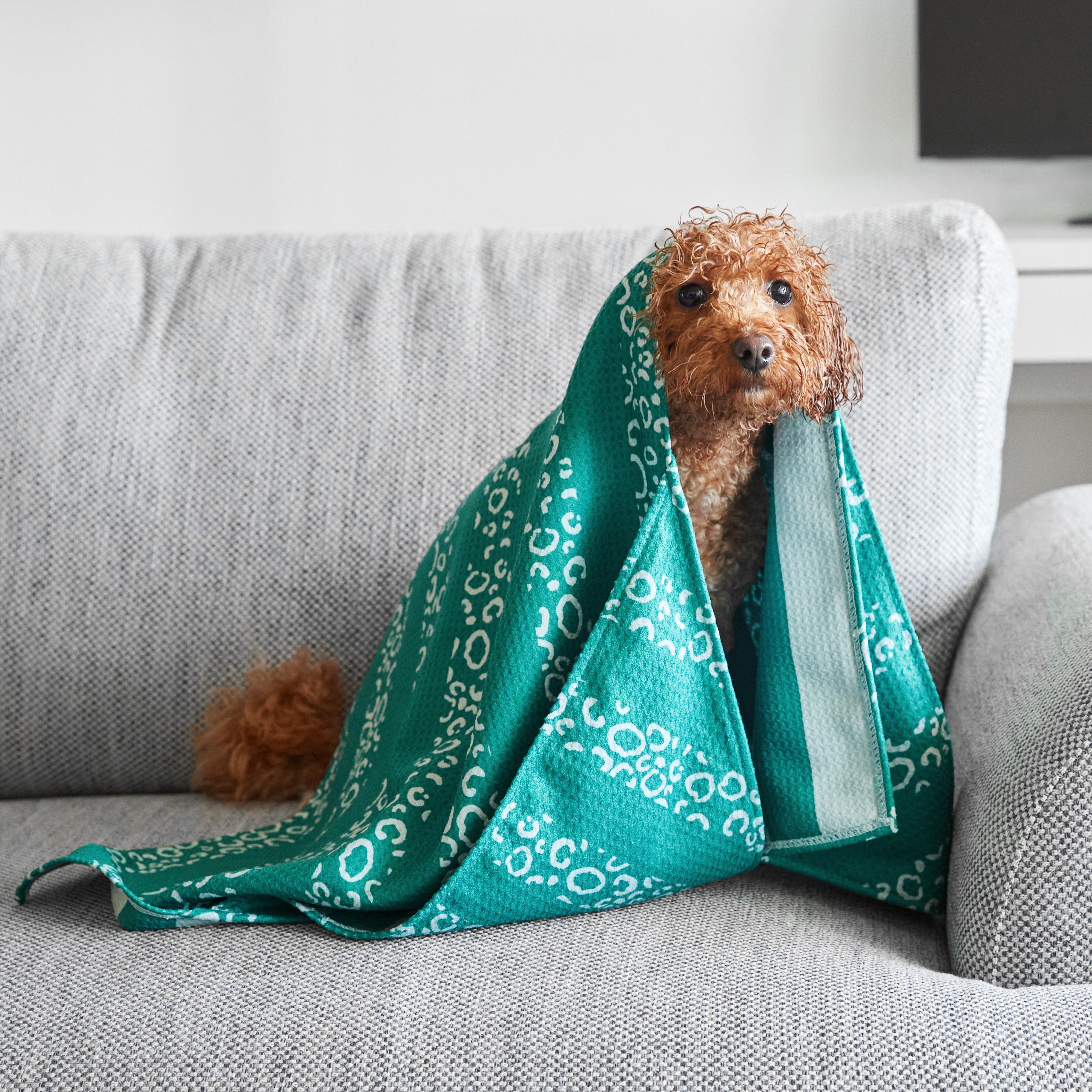 Medium Dog Towel - Woofs Go Wild