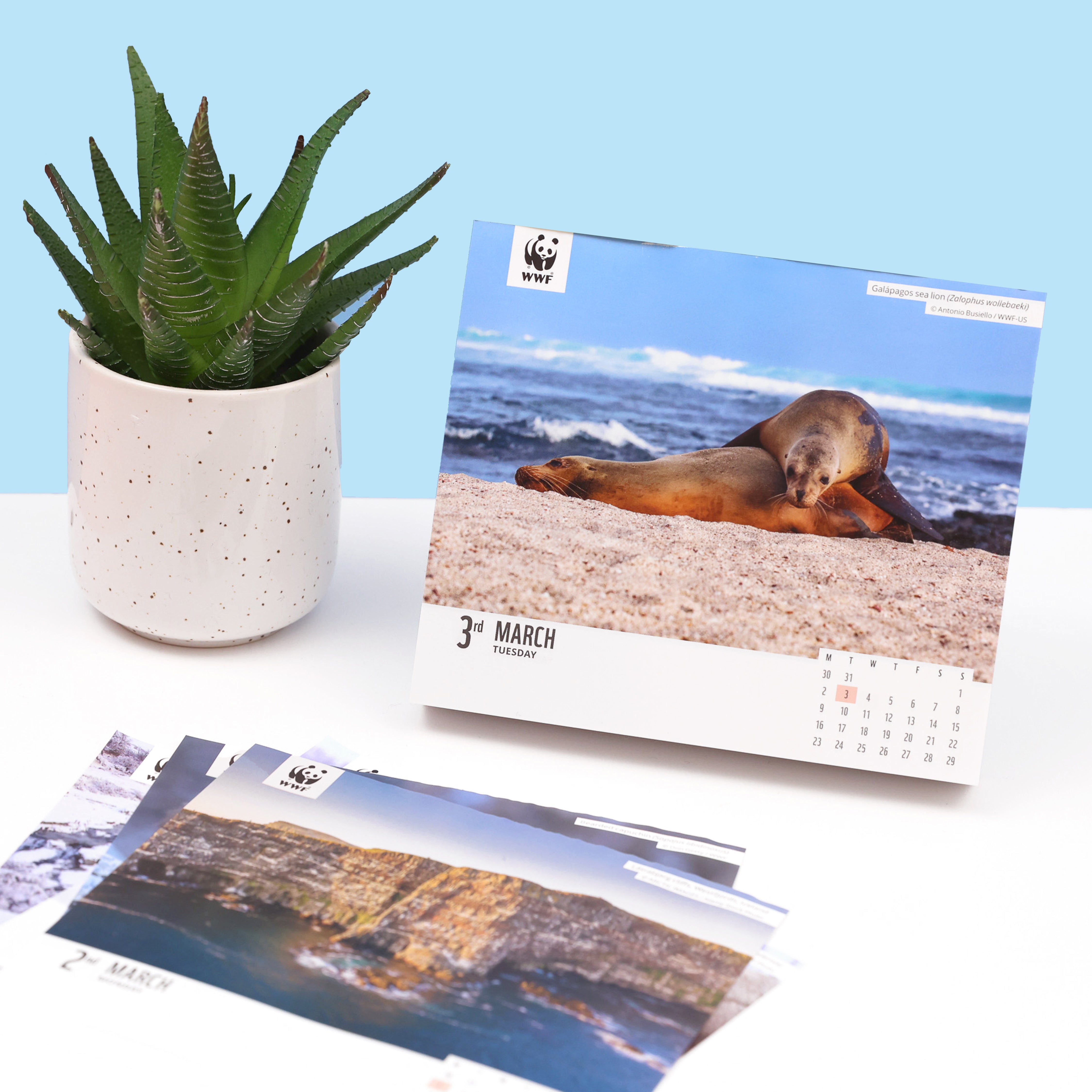 Natural World Desk Calendar Diary 2026