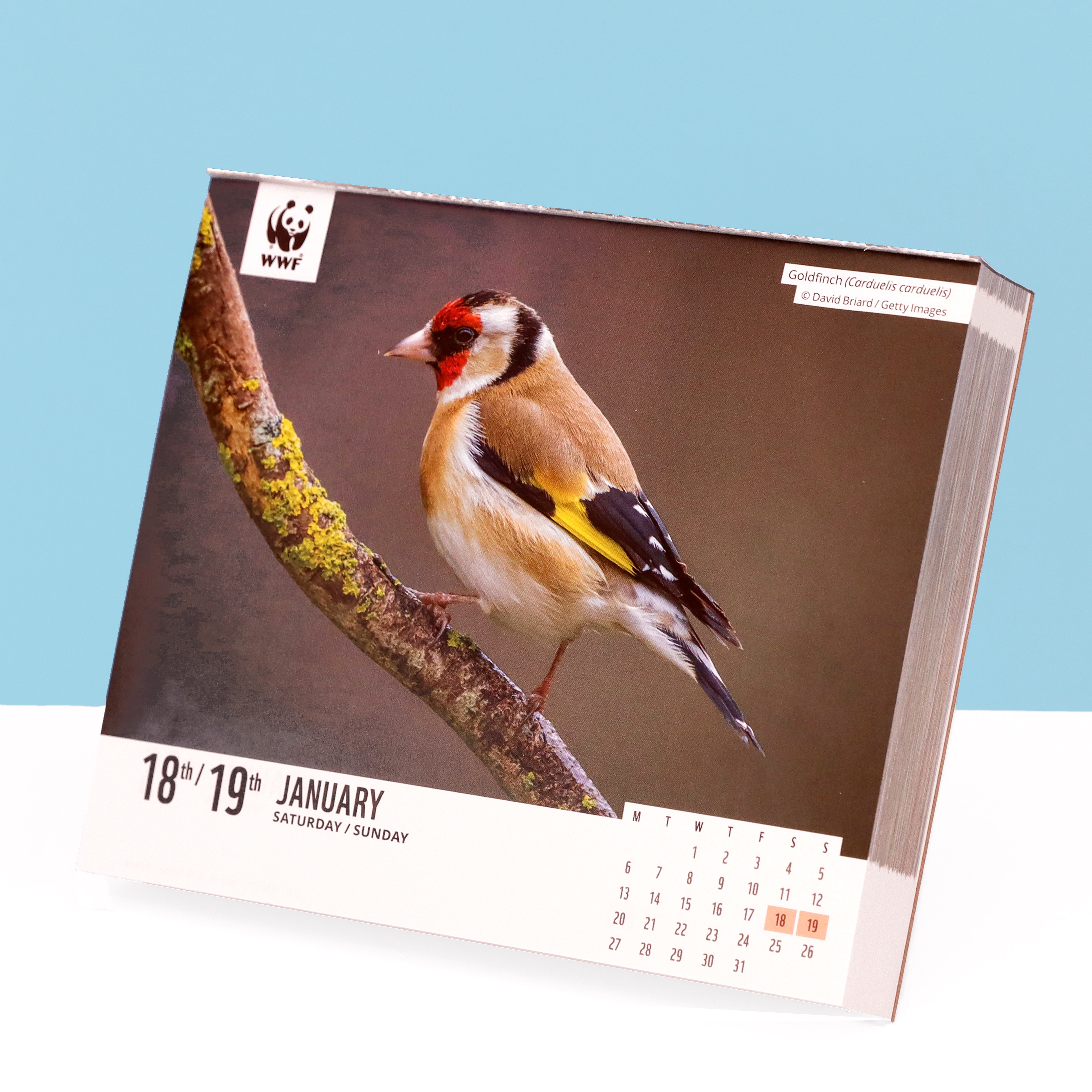 Natural World Desk Calendar Diary 2025