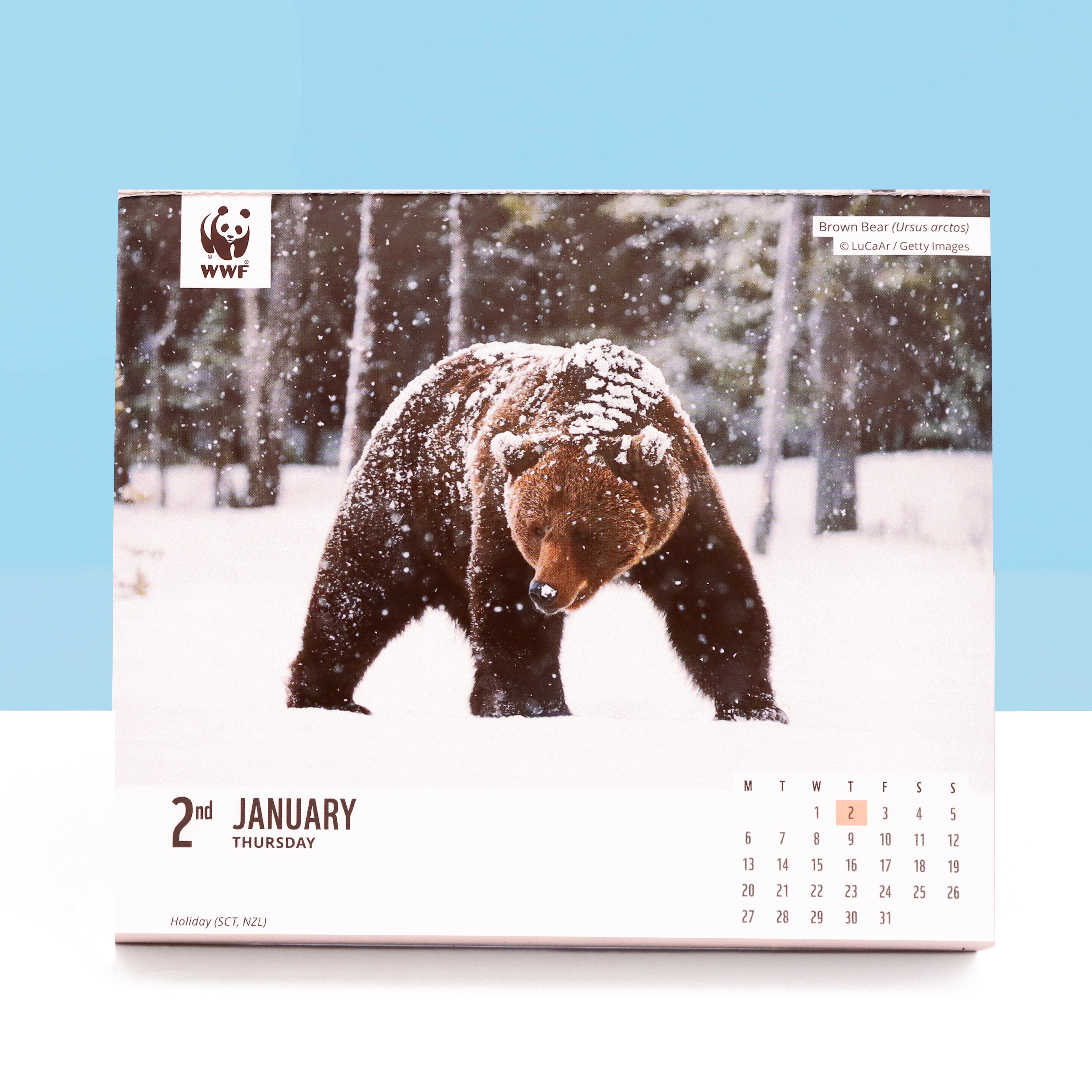 Natural World Desk Calendar Diary 2025