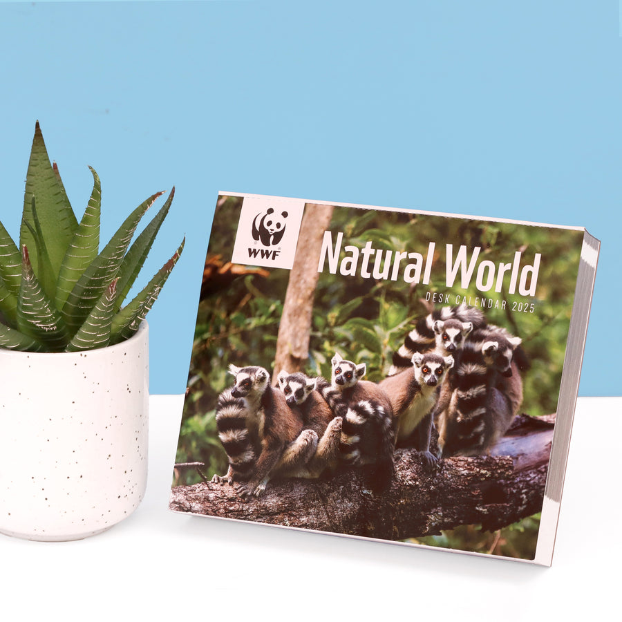 Natural World Desk Calendar Diary 2025