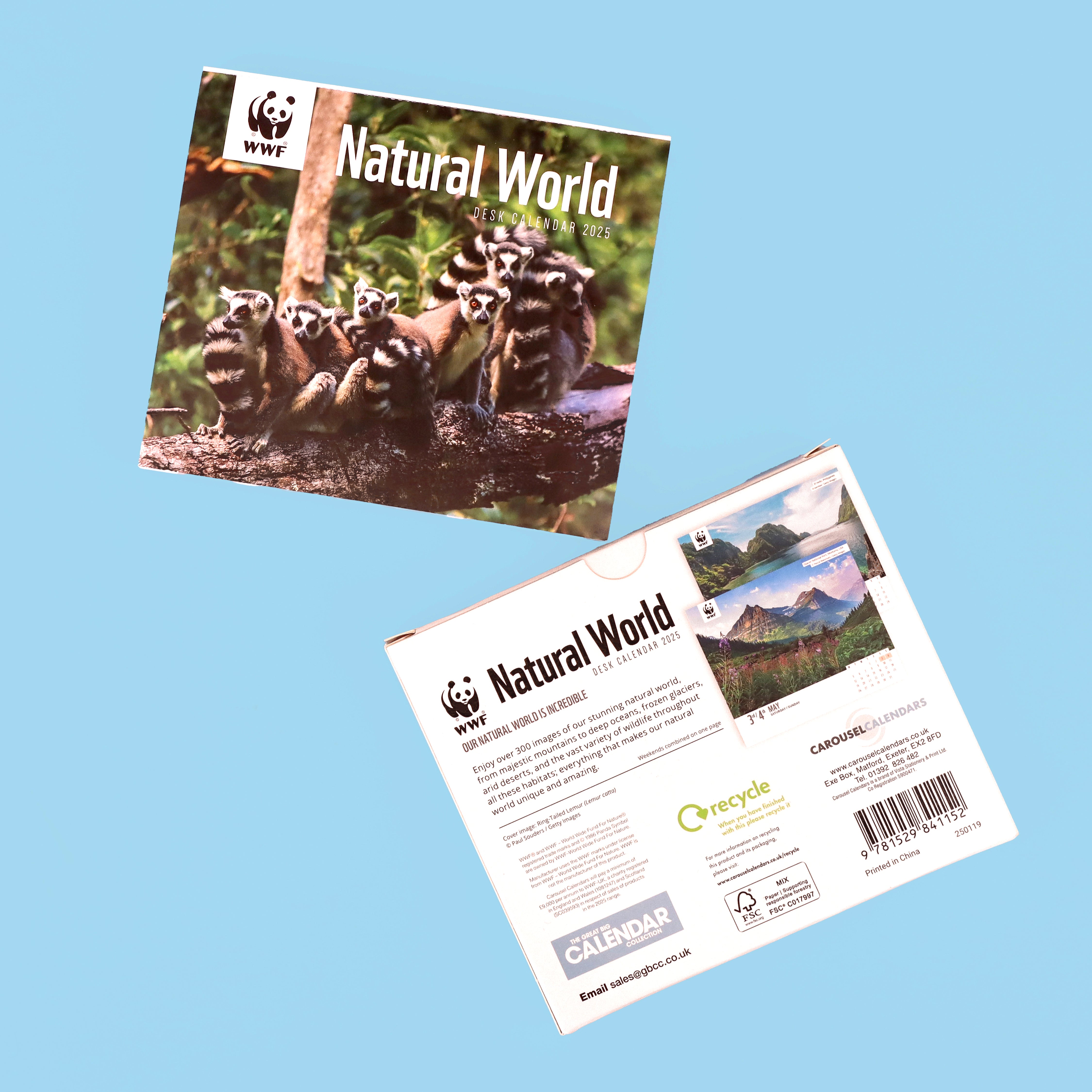 Natural World Desk Calendar Diary 2025