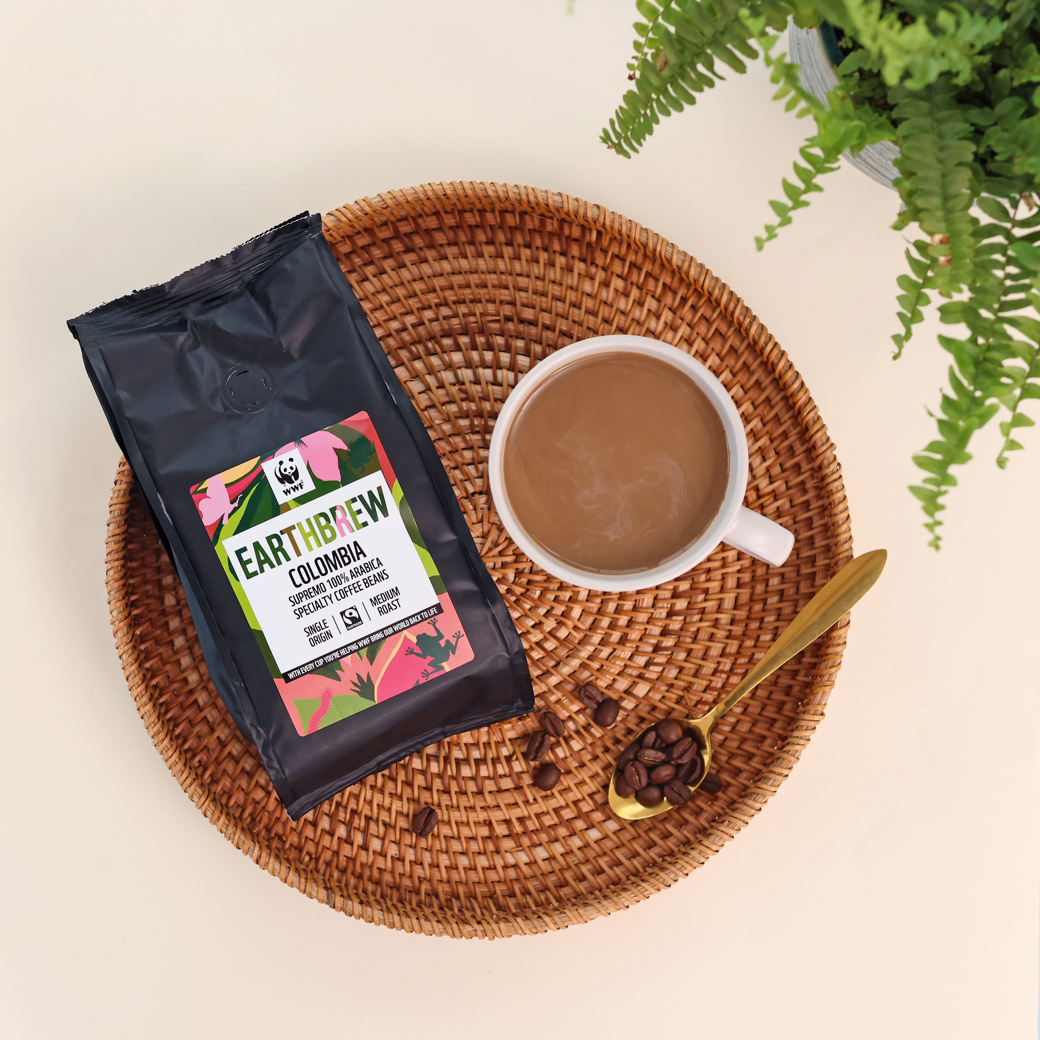 Earthbrew Colombia – Supremo Speciality Coffee Beans (250g)