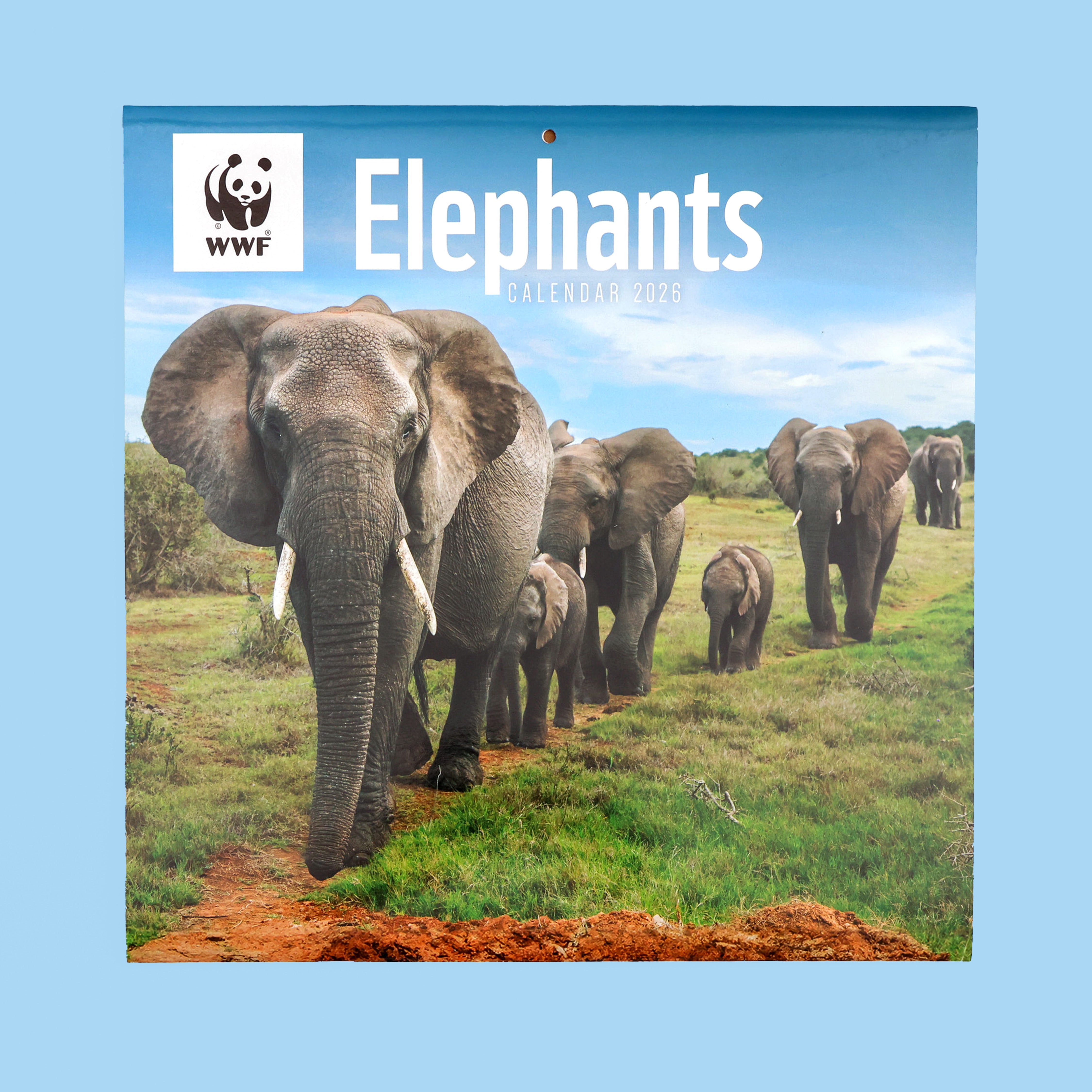 Elephants Wall Calendar 2026