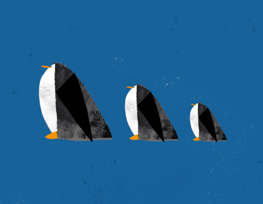 Penguin March Gift Wrapping Paper