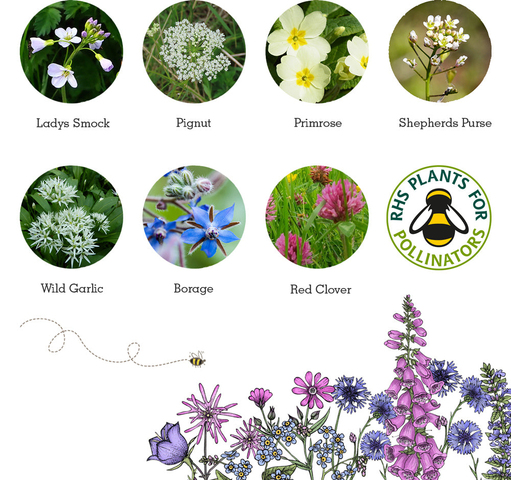 Seedball Wildflower Bag - Edible Flowers