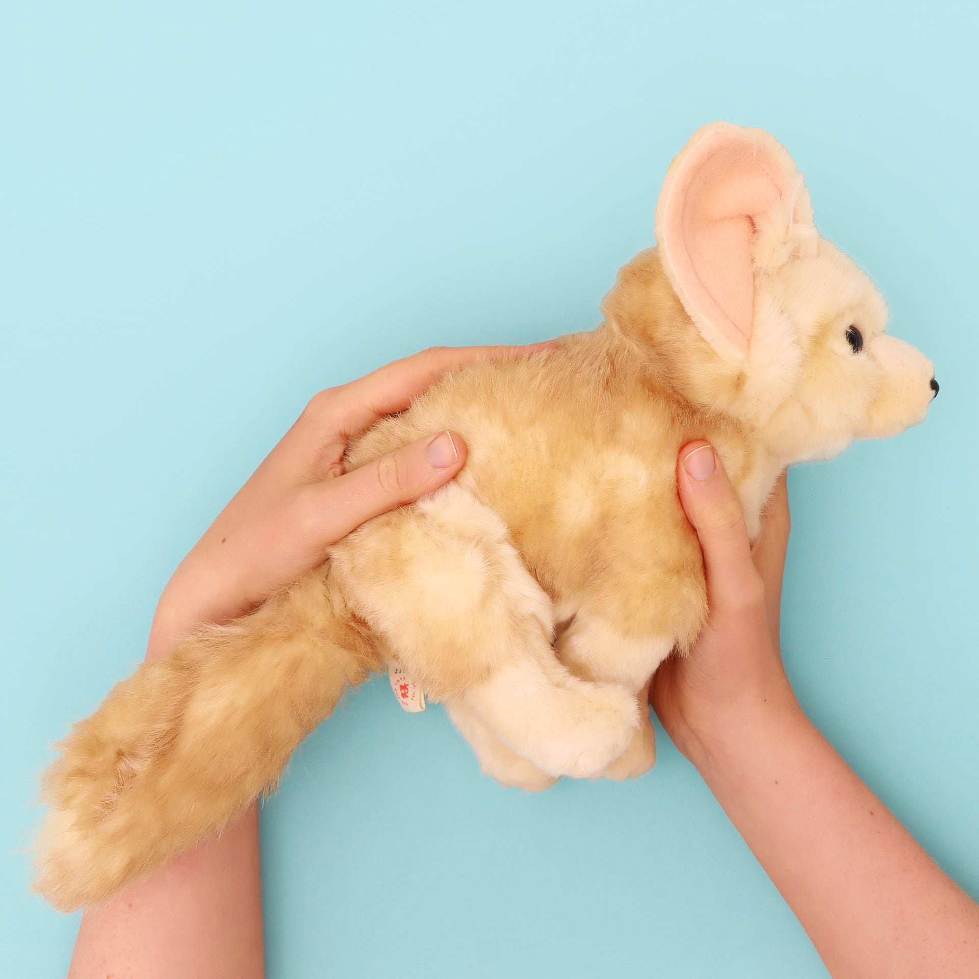 Stuffed fennec fox online