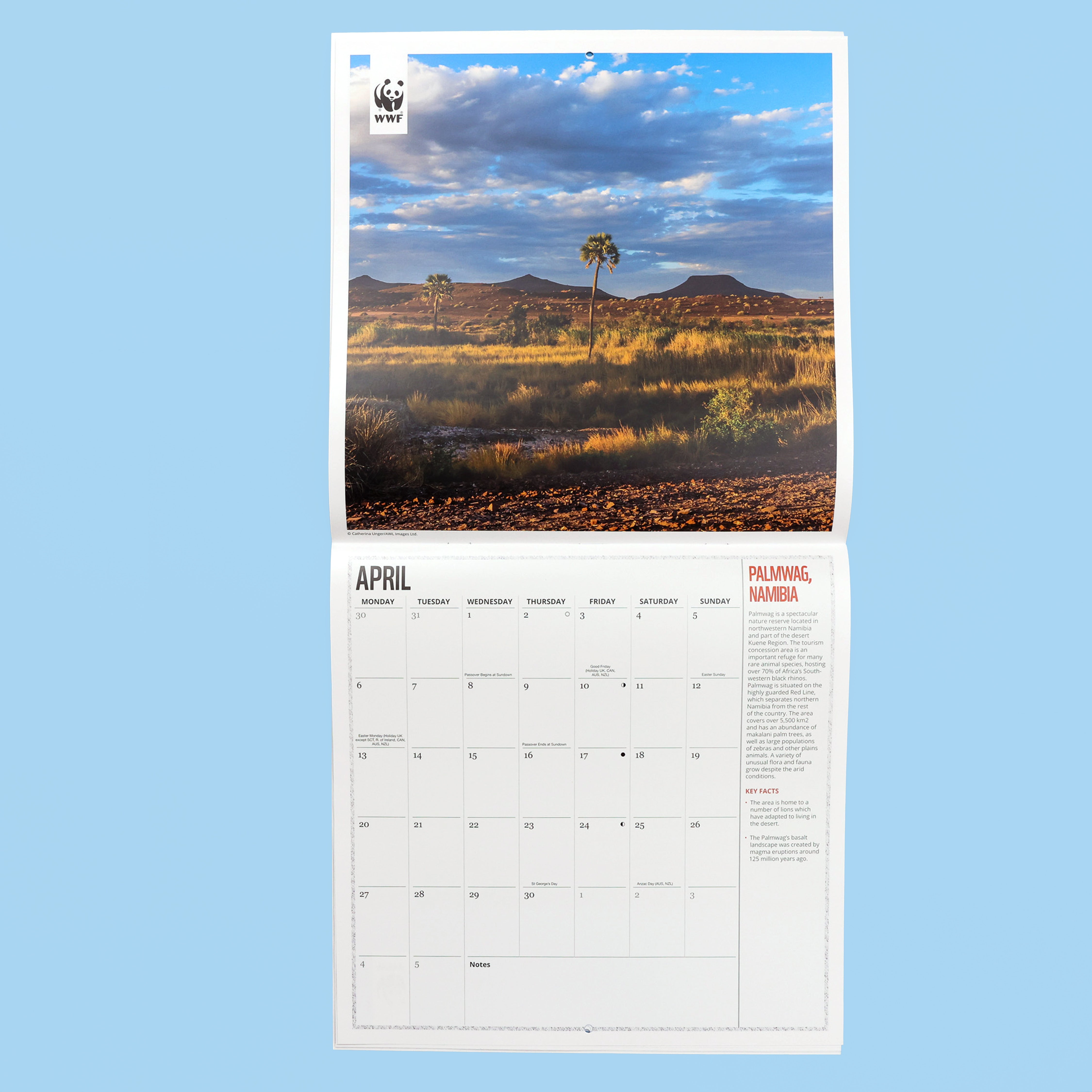 Fragile Earth Wall Calendar 2026