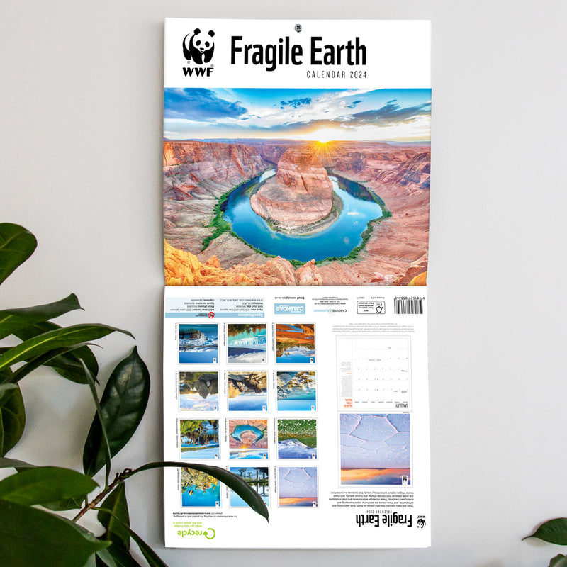Fragile Earth Wall Calendar 2024