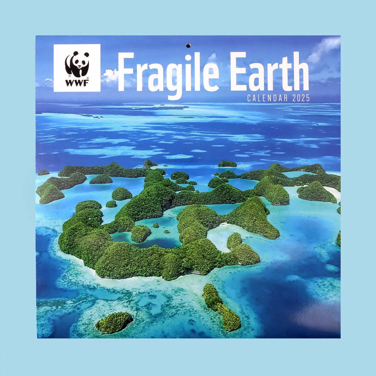 Fragile Earth Wall Calendar 2025