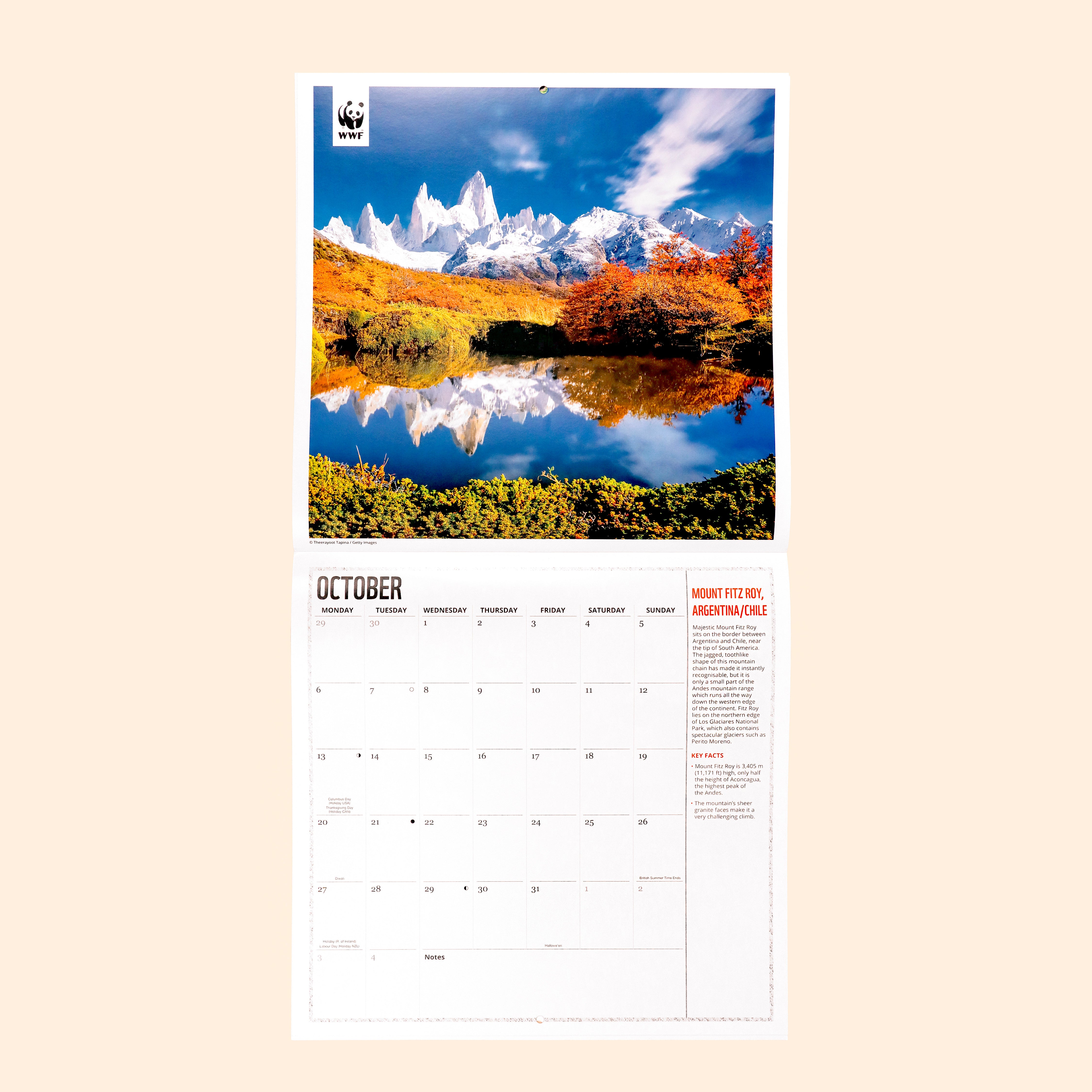 Fragile Earth Wall Calendar 2025