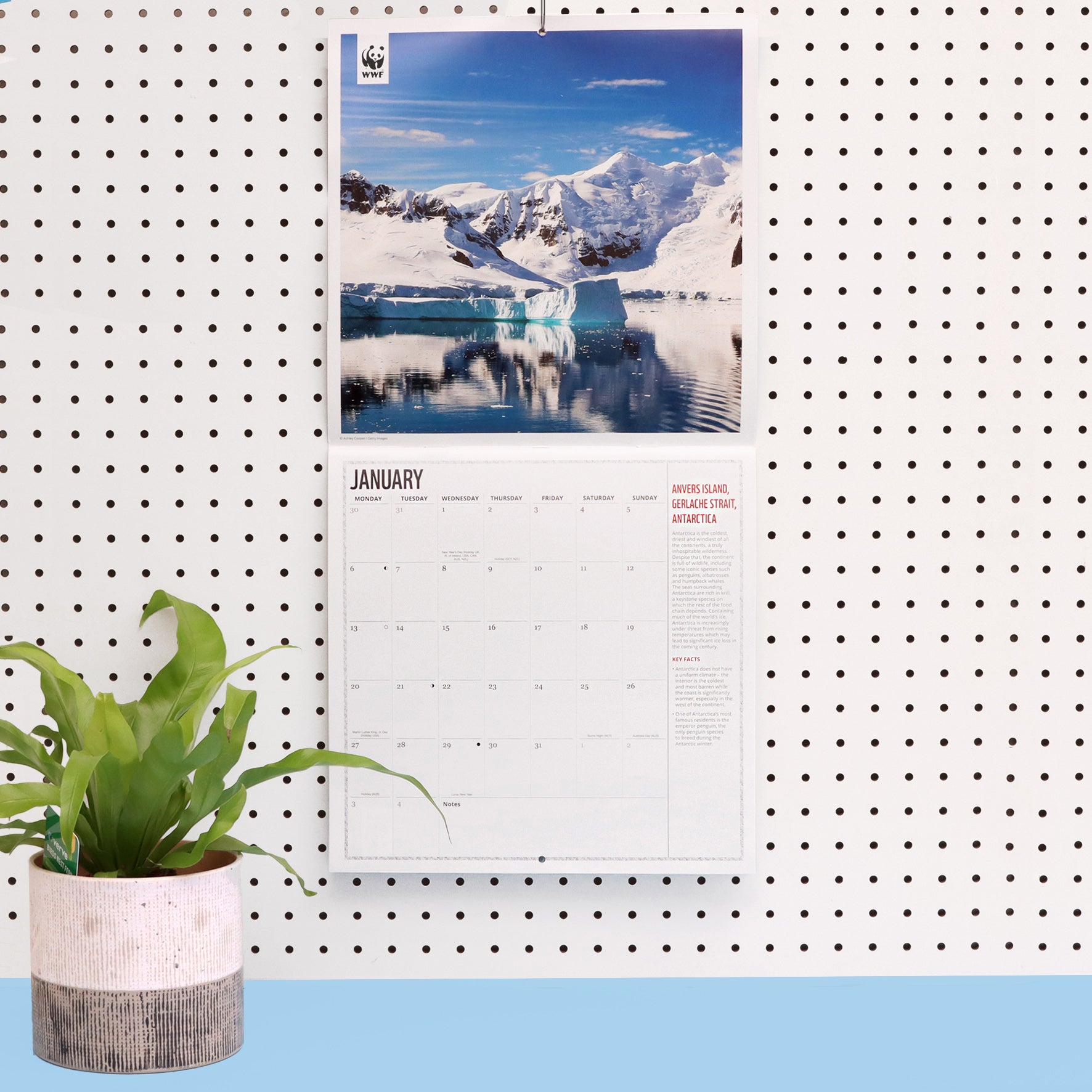 Fragile Earth Wall Calendar 2025