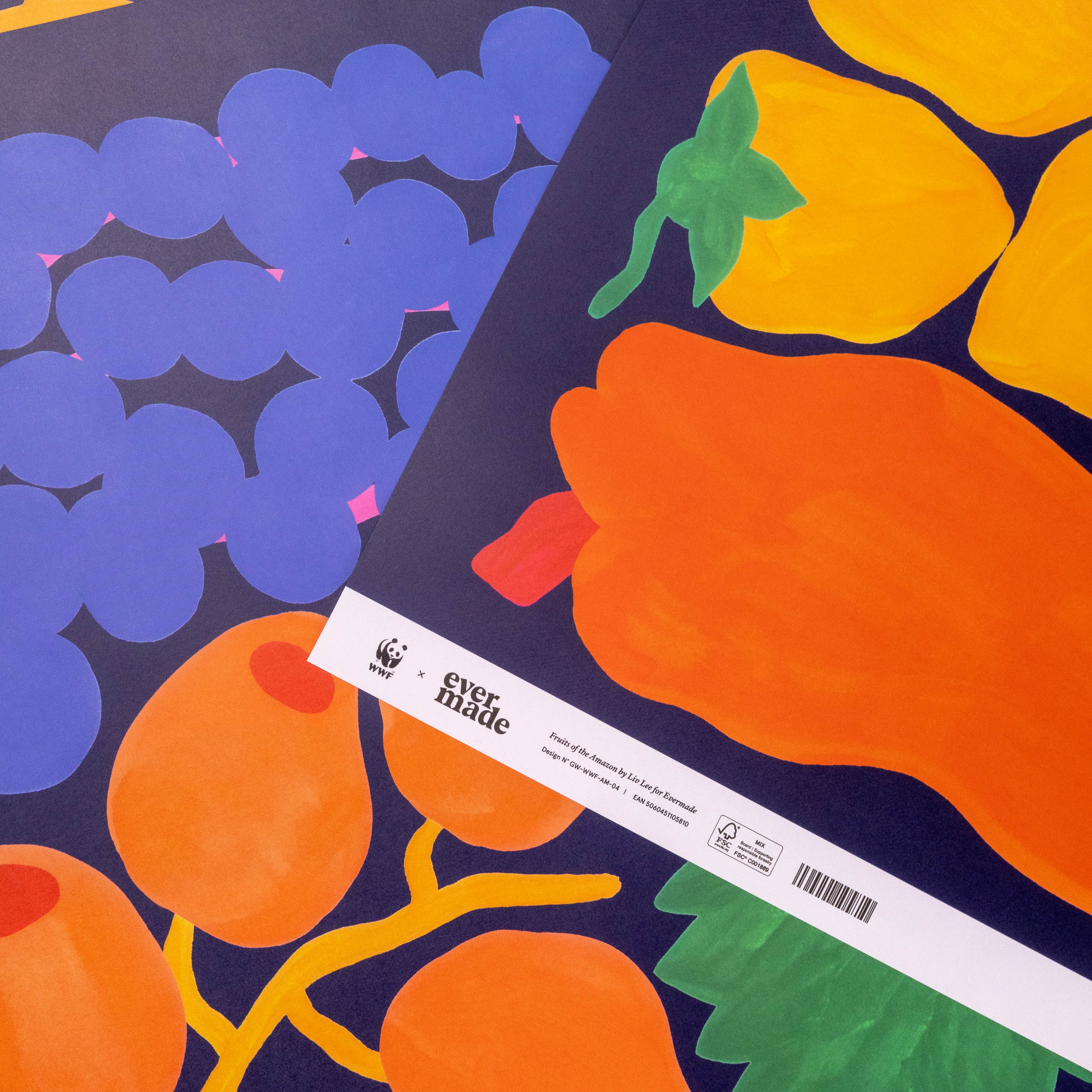 Evermade x Liv Lee - Fruits of the Amazon WWF Luxury Gift Wrap (2 Sheets)
