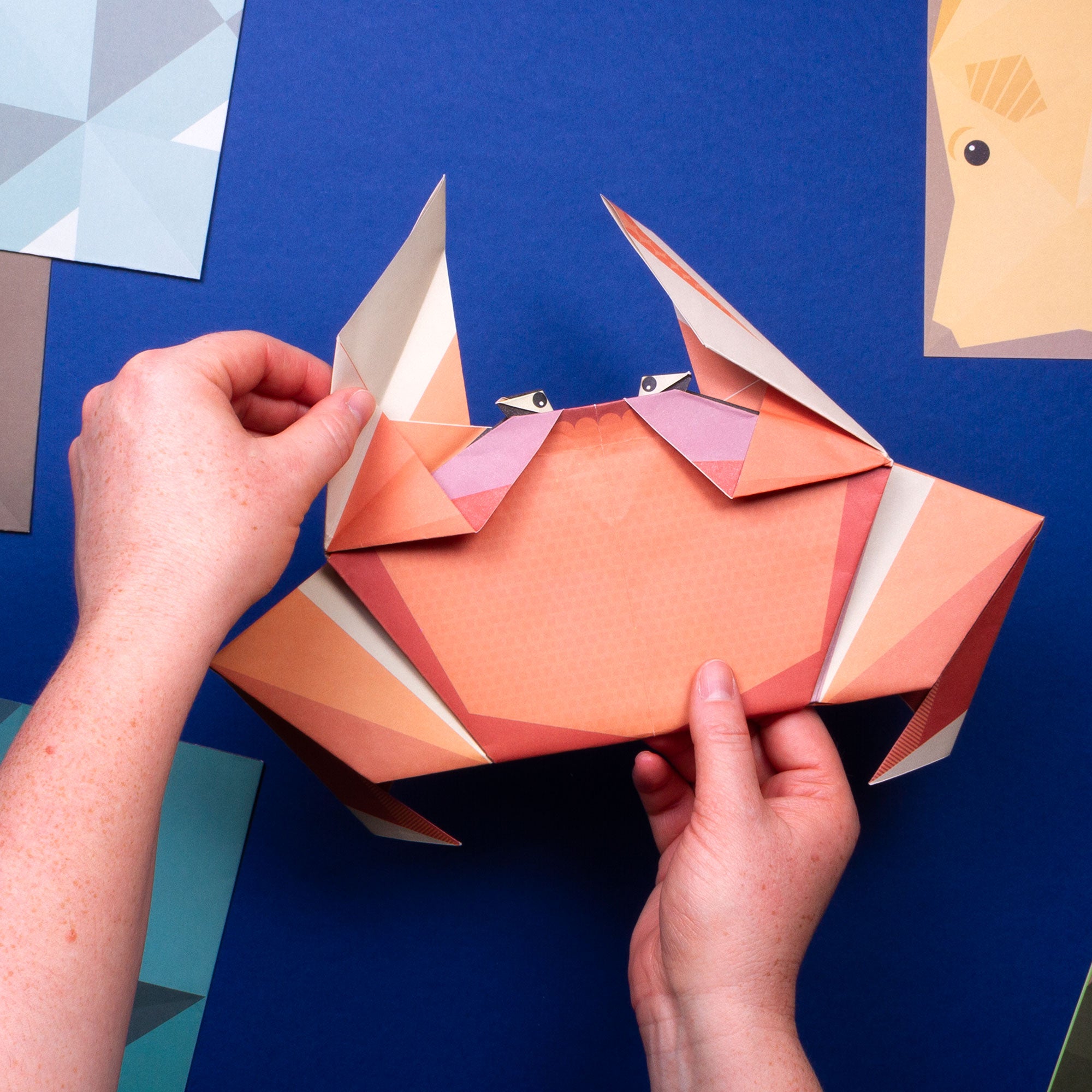 hands folding the crab origami on blue background