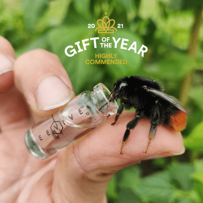 WWF X Beevive Bee Revival Kit - Gold