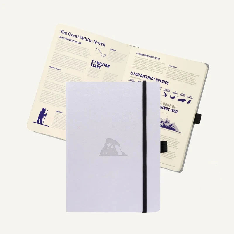 Dingbats Arctic A5 Notebook