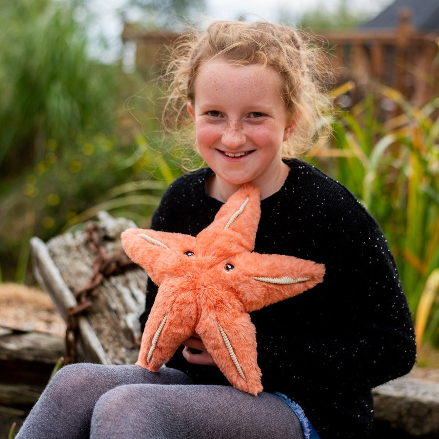Plush Starfish
