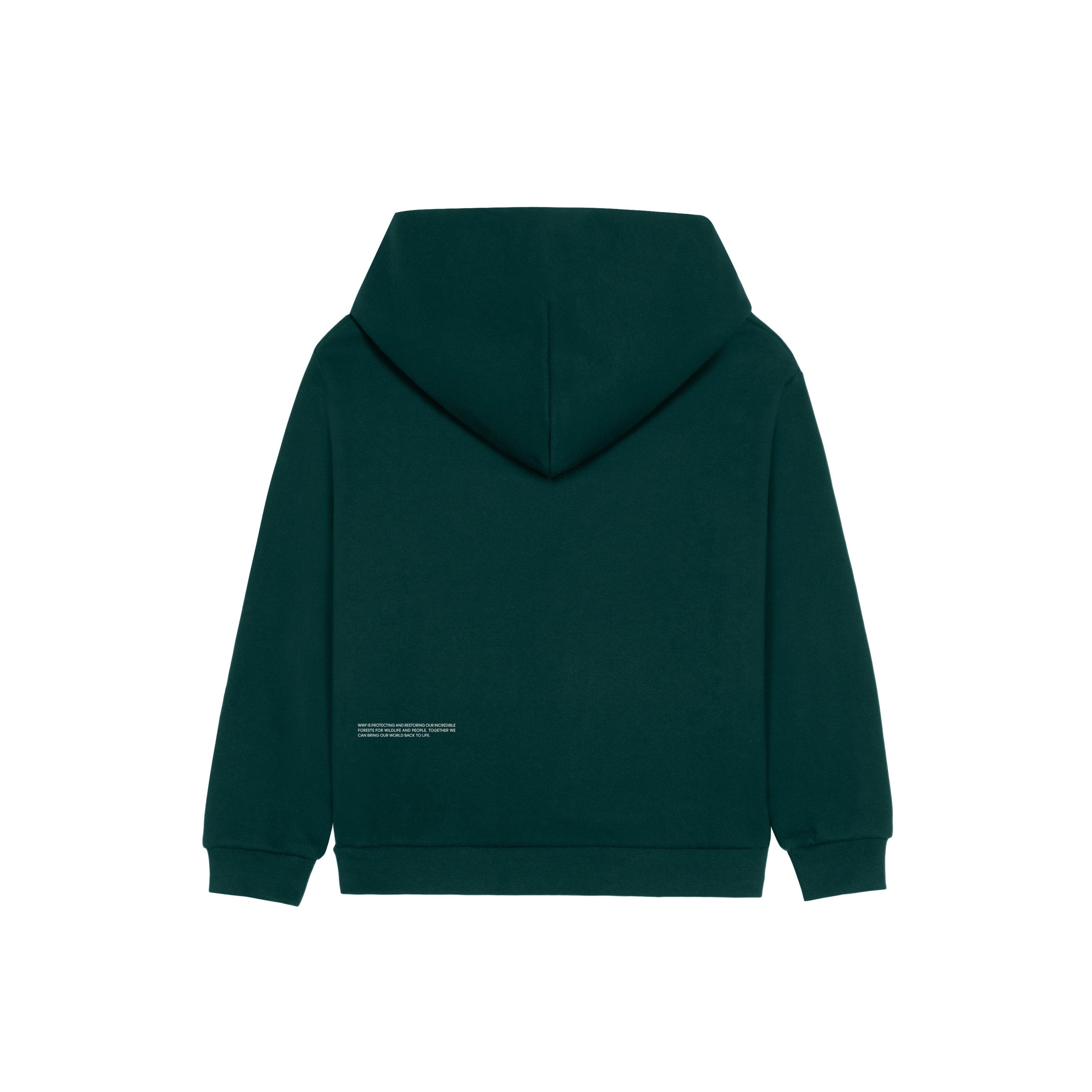 PANGAIA Kids Hoodie - Foliage Green