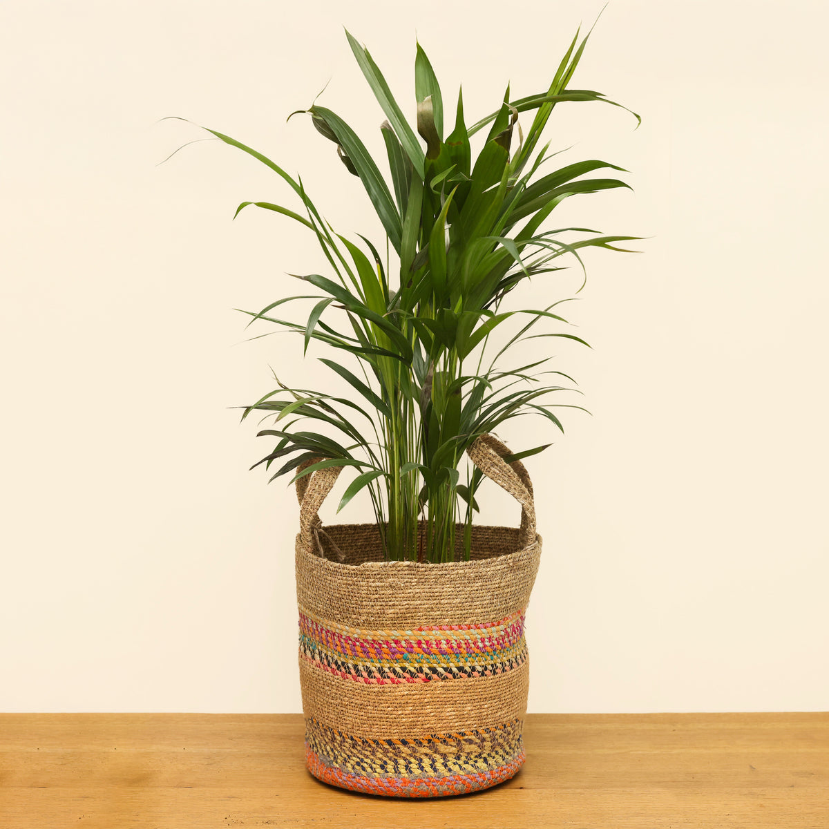 Munja And Reclaimed Fabric Eco Plant Baskets With Handles – Set Of 3