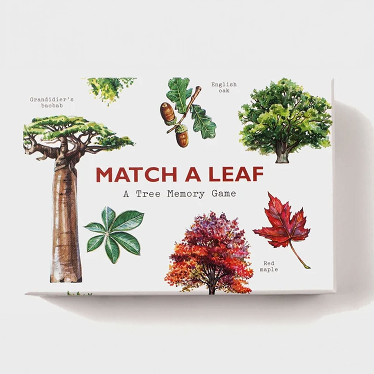 Match a Leaf