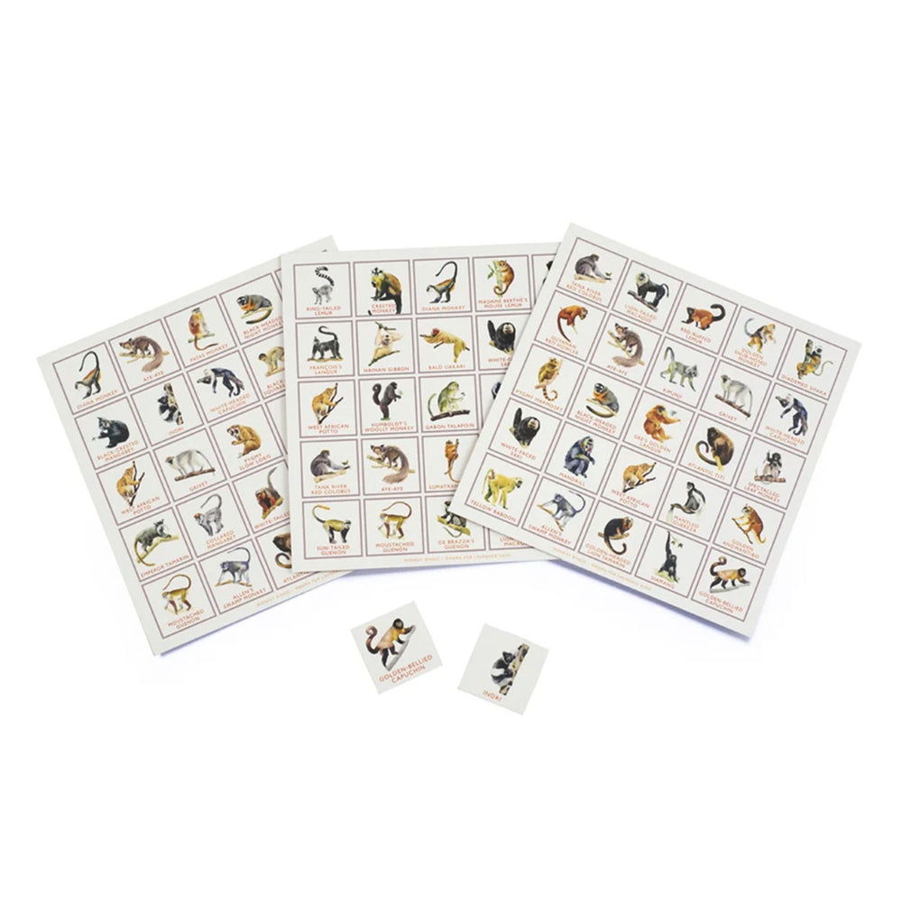 Monkey Bingo main image 1
