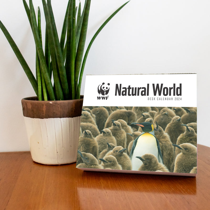 Natural World Desk Calendar Diary 2024